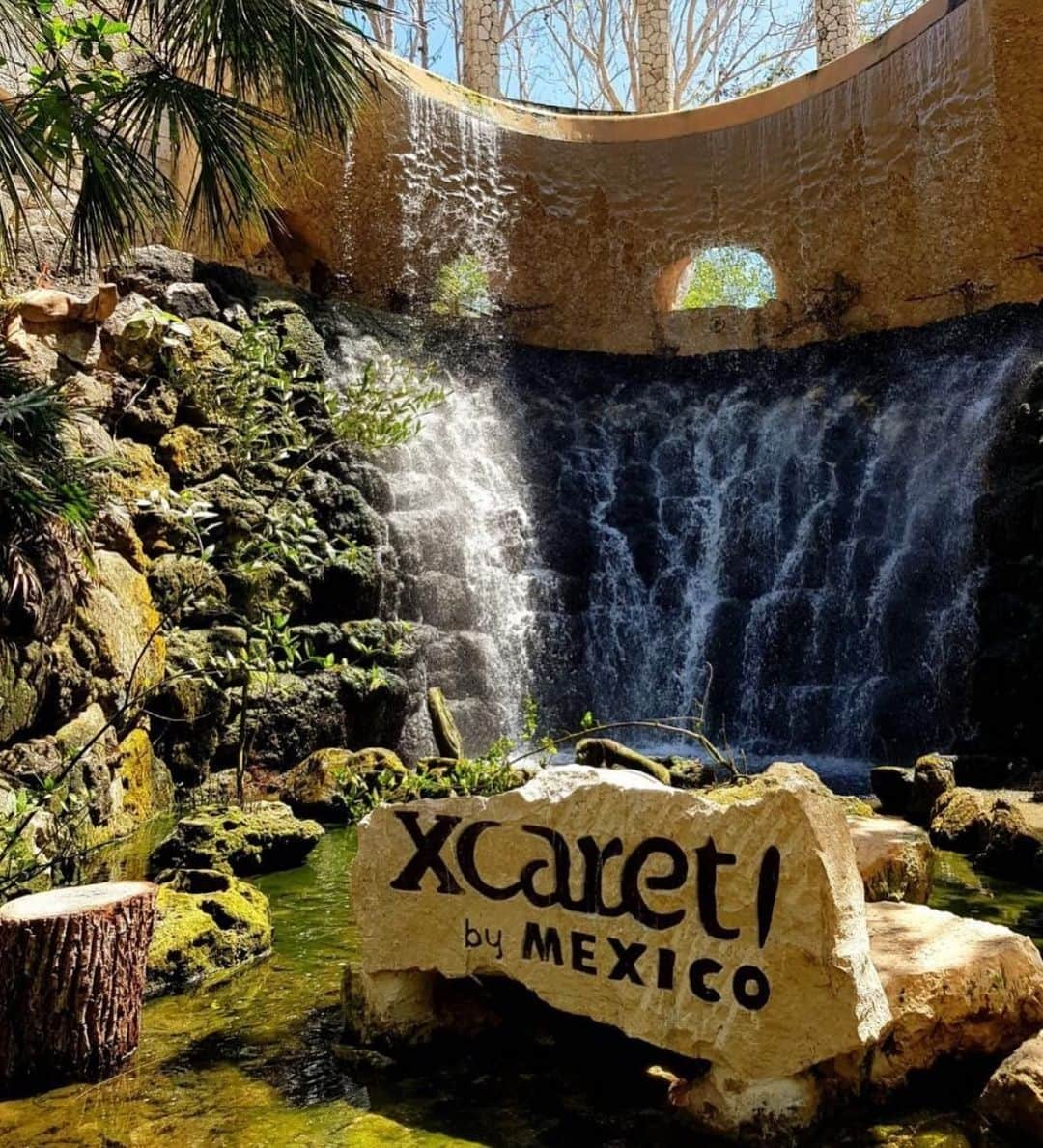 アンナ・ヤノフスカヤさんのインスタグラム写真 - (アンナ・ヤノフスカヤInstagram)「🦋🐆🦜🐬🐢 If you’re visiting Riviera Maya #Xcaret Park is a place to see! #mexico #adventure #aroundtheworld 🌏」5月14日 10時50分 - annayanovskay