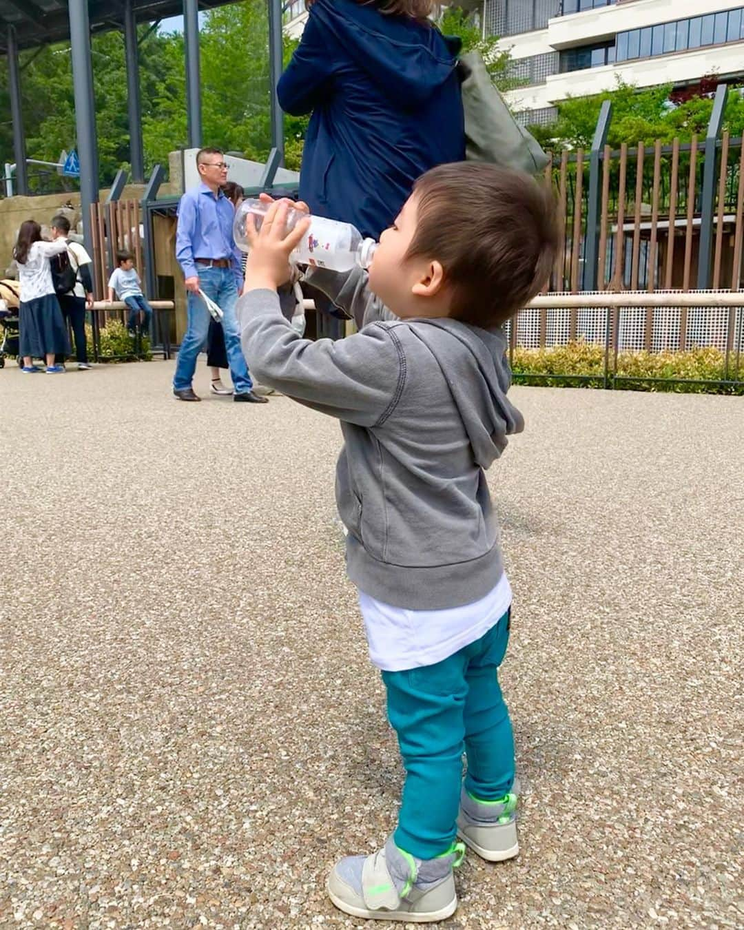 桜井未来さんのインスタグラム写真 - (桜井未来Instagram)「息子は寝起きでお弁当タイム🍙☀️（笑） お外で食べるご飯は美味しいね😊💓 焼鮭をほぐして作った、鮭おにぎり を２つも食べたよ😂👍 ・ ・ #お弁当 #料理 #お家ご飯 #bento #cooking #クッキング #クッキングラム #動物園 #上野 #上野動物園 #パンダ #zoo #ママ #男の子ママ #子育て #成長記録 #baby #ママ友募集 #赤ちゃんのいる生活 #ママサークル #ママイベント #ママ会 #都内ママ #ベビスタグラム #mamagirl #ベビフル #コドモダカラ #コドモノ #ママリ#親バカ部」5月14日 11時16分 - miki.sakurai0214