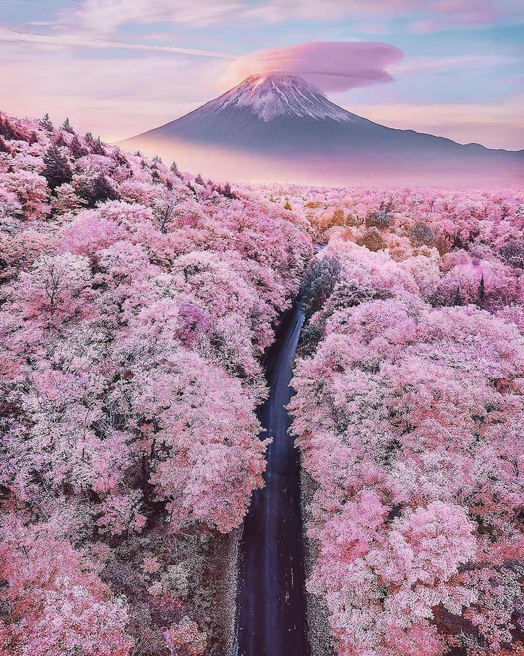 Inspirationさんのインスタグラム写真 - (InspirationInstagram)「Um infinito rosa 🌸🌷🙌🏻. #decoreinteriores #decorcriative. Follow {@decoreinteriores}. __________________ Photo by Kristina Makeeva Local: Fuji, Japão」5月14日 11時47分 - decorcriative