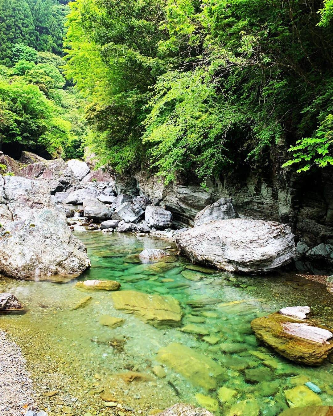 金子貴俊さんのインスタグラム写真 - (金子貴俊Instagram)「今日も旅してまーす(^^) 綺麗な川に癒されるー(^ ^) #アウトドア#outdoor#nature #旅#travel#traveler#trip」5月14日 11時52分 - takatoshi_kaneko