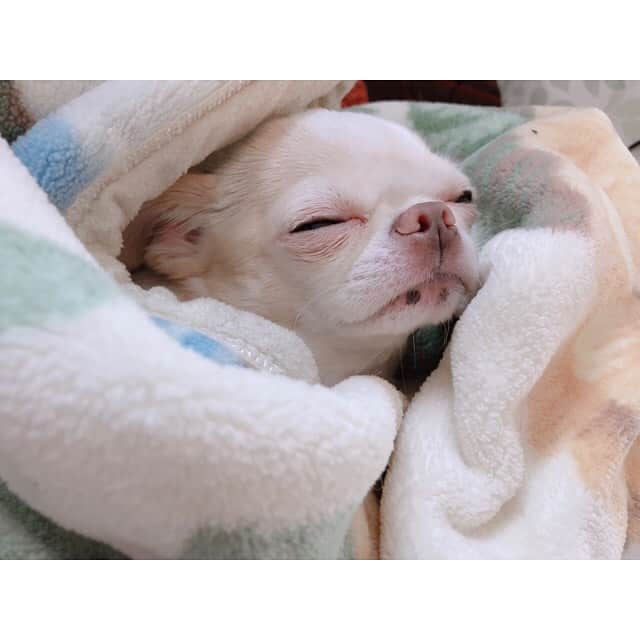 夢咲ねね（赤根那奈）のインスタグラム