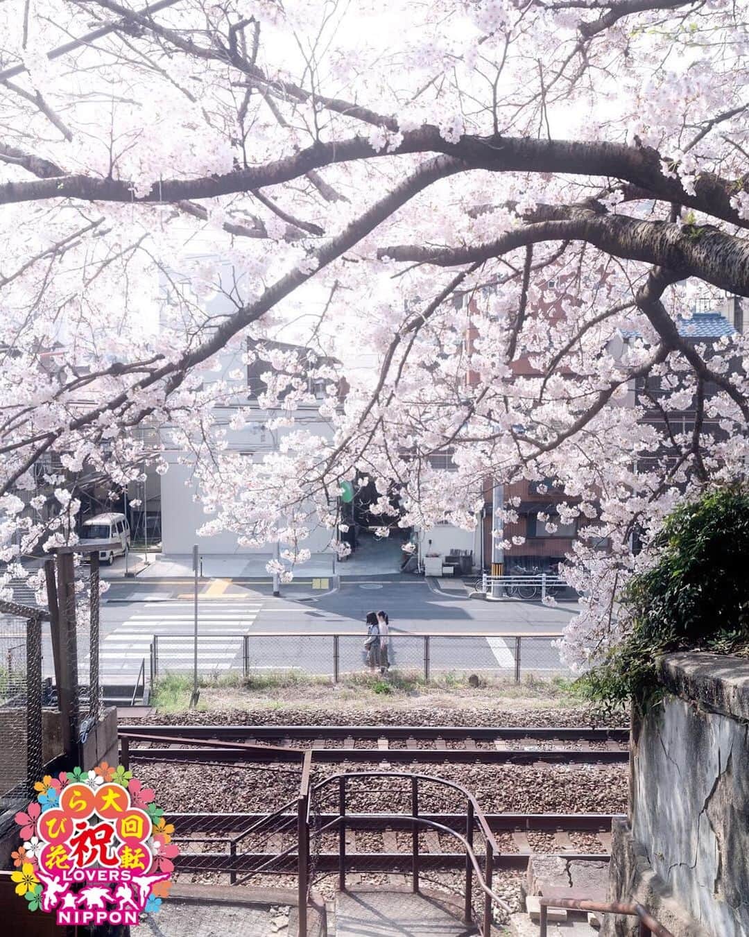 Only Japanese photographsさんのインスタグラム写真 - (Only Japanese photographsInstagram)「🌸Lovers春チャレンジ 花びら大回転2019🌸  Today's 花びら二スト: 🏆 @tomato_249 🏆 Challenge Tag : #花びら大回転2019 Location : 広島県(Hiroshima, Japan) Photo selected : @sumichanx15 ￣￣￣￣￣￣￣￣￣￣￣￣￣￣￣￣￣￣￣￣ 🌸🌷Congratulations❗️🌺☘ ㊗️おめでとうございます🎉🎉🎉 ⁑ ￣￣￣￣￣￣￣￣￣￣￣￣￣￣￣￣￣￣￣￣ 『Lovers Nipponからのお願い』  都道府県のみでも結構ですので必ず国内の撮影場所を明記ください。 風景【 #Lovers_Nippon 】 ポートレート【 #Lovers_Nippon_Portrait 】 アート【 #Lovers_Nippon_Artistic 】 ￣￣￣￣￣￣￣￣￣￣￣￣￣￣￣￣￣￣￣￣」5月14日 12時32分 - lovers_nippon