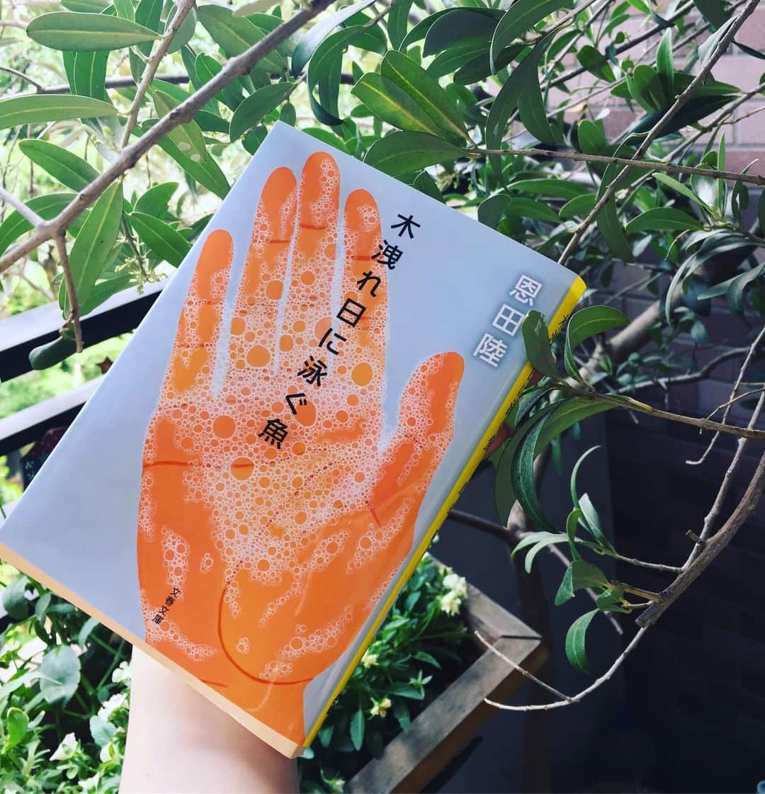 小橋めぐみのインスタグラム：「「やがてあなたは気付くのだ。女の居場所が本当は海の中であったと。」 ・ 朝から、しとしと雨。 恩田陸さんの「木洩れ日に泳ぐ魚」を読む。 マンションの一室に、男と女。 夜が明けたら別々の道に進む、その最後の夜を徹して語り合うのは、ある男の死。男の視点、女の視点、交互に交えながら、死の真相に、その先にあるものに近づいてゆく。 夜が明けてゆくとともに、明らかになる真実。 こんな光の射し方があったのだなぁ。 #恩田陸 #木洩れ日に泳ぐ魚 #恋読」