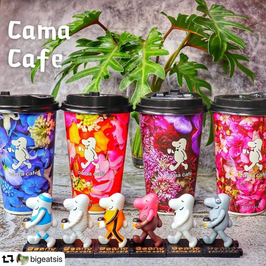 planticaさんのインスタグラム写真 - (planticaInstagram)「Repost @bigeatsis 🔹Cama cafe💃 🔸花漾美杯✨ ➿➿➿➿➿➿➿➿ ✨這這這杯子也太夢幻了吧😍😍😍一次蒐集４個，擺起來有夠美💕💕💕再搭配上姐姐的Cama寶寶們，這畫面太療癒啦😚😚😚對於這種花花系列商品實在沒有抵抗力啊😍😍😍 （除了杯子，也超喜歡這幾隻cama寶寶們，超可愛的啦🤣🤣🤣） ➿➿➿➿➿➿➿➿ 💁🏻‍♀️花漾美杯資訊卡： 📍大食妹哪裡買：Cama cafe ➿➿➿➿➿➿➿➿ #台北美食 #咖啡 #cama #camacafe #plantica #相機食先 #春漾花季 #flower #cafe」5月14日 14時35分 - plantica_jp