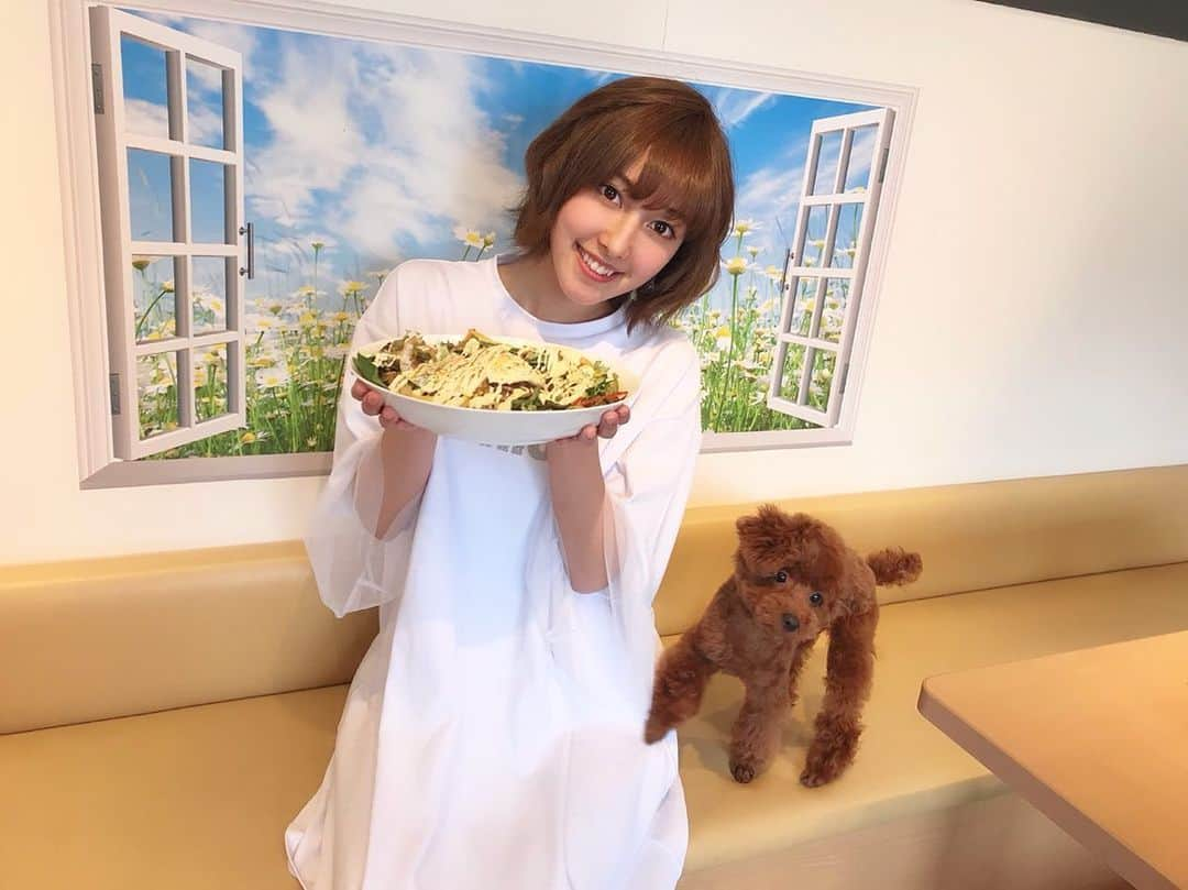 amiさんのインスタグラム写真 - (amiInstagram)「愛犬と行ける犬カフェは、楽しすぎてまじで楽しくって、語彙力低下してた。TikTokにぼーちゃん登場してるやつ投稿したから、見てー👁👁 #jdeez #ami #dog #いぬカフェ #ジェイディーズ」5月14日 14時49分 - amidesudoumo