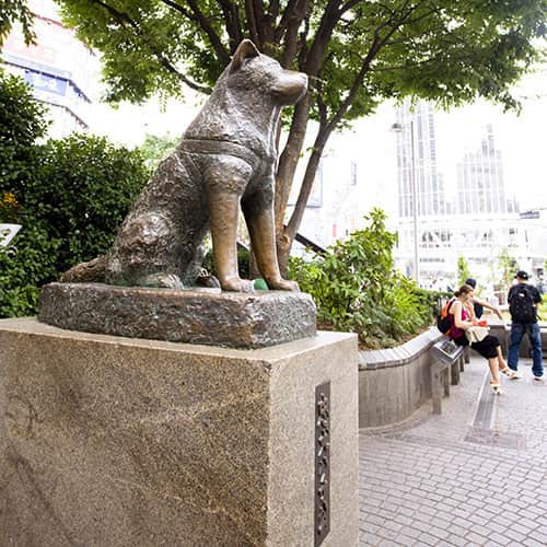 Loveinn Japanさんのインスタグラム写真 - (Loveinn JapanInstagram)「Hachiko-mae Square, love this story, watch this movie a few time, can't stop crying.  https://loveinnjapan.com/en/hotel/541364/ #loveinnjapan #LOVEINNJAPAN #LoveInnJapan #couplehotels #boutiquehotels #hotelsjapan #couplehotelsjapan #Japnhotels #wheretostayjapan」5月14日 14時52分 - loveinnjapan