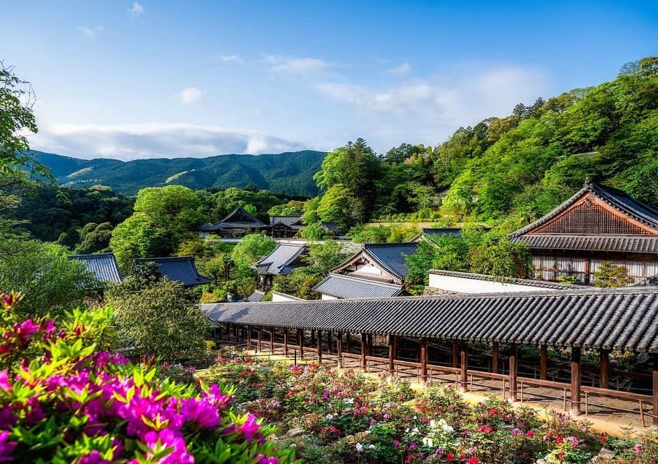 関西電力株式会社さんのインスタグラム写真 - (関西電力株式会社Instagram)「奈良県桜井市にある長谷寺では、牡丹が山内に咲き乱れる様子が一望できます。 これからの季節は青々とした緑を楽しむことができる時期になります。 ※写真は2019年5月2日に撮影したものです。  #長谷寺 #奈良 #nara #牡丹 #ぼたん #はなまっぷ  #ザ花部 #花の御寺 #わたしは奈良派  #うましうるわし奈良 #新緑 #初夏 #近畿ぐらむ #関西でお写んぽ #日帰り旅行  #貴重な体験 #小旅行  #インスタスポット #日本の風景 #ファインダーは私のキャンバス  #カメラのある生活 #景色最高  #その旅に物語を #tripgramjp #写真は心のシャッター #お写ん歩 #best_moments_shots  #love_bestjapan #unknownjapan #loves_united_japan」5月14日 15時19分 - kanden.jp