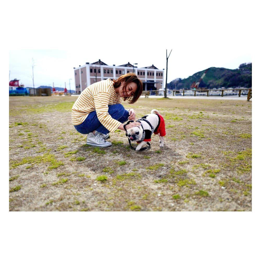 みかんさんのインスタグラム写真 - (みかんInstagram)「瀬戸建設さんのCMオフショットpart2✨社長の愛犬のVIVIちゃんが撮影慣れしてんじゃないのくらいナイスなワンちゃんでした👍 初命綱もマジで高いところ怖かったし、働いている方を改めて凄いと尊敬しました♫ みなさんのご協力で素晴らしいCMが出来上がりました💕 本当にありがとうございます😊 やっぱり最後が素敵よね😏😏😏 誰よっ💢撮ったの(笑) #瀬戸建設株式会社 #CMキャラクター #愛媛のみ #八幡浜 #高いところ昔より怖い #初命綱 #パグ #VIVIちゃん」5月14日 15時22分 - mikan02241984