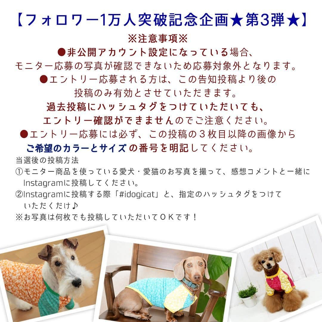 iDog&iCatさんのインスタグラム写真 - (iDog&iCatInstagram)「👕 * instagramフォロワー10000人突破記念！ 【SNSモニター募集】を開始します！ おかげさまで、フォロワーが10000人を突破いたしました！ 皆様のお力添えがあったからこそです。 これからも社犬・社猫のゆる〜い投稿や新商品紹介、SNS限定企画などを行っていく予定です。 今後ともiDog&iCatをよろしくお願い致します🙇‍♀️✨ * 今回は、記念ということで3回連続で行います！ 感謝の気持ちを込めまして、少しでも多くの方にiDog&iCatの商品をお届けできればと思います！ * instagramアカウントをお持ちの方なら誰でも参加可能!! iDog&iCatのグッズをまだ使った事がない方も、いつもご愛用していただいている方も、誰でも気軽に参加してくださいね♪ * 第3弾のお試しグッズは【KEICE 切替スターTシャツ】です！ KEICEは、遮熱・放熱の同時作用により冷却機能を持った特殊プリント加工のお洋服です。 体外に放出することで、衣服内を常に快適な状態に保ちます。 これからの暑い季節にぴったりなお洋服をお送りいたしますので、届いた商品を使用した愛犬・愛猫のお写真をinstagramに投稿してください♪ * 【モニター応募方法】 1）iDog&iCatアカウントをフォロー 2）【#iDogSNSモニター応募】へ愛犬・愛猫のお写真を投稿！ その際、愛犬・愛猫のお名前と、この投稿の3枚目の画像から希望のカラー・サイズの番号を記載して応募完了です！ * ⚠️ペットのサイズの確認をお願いすします。 ⚠️今回は、今までのモニター企画にご応募いただいたものも一度無効とさせていただきますので、改めてご応募をよろしくお願いします。 ⚠️モニターエントリー応募される方は、この告知投稿より後の投稿のみ有効とさせていただきます。 過去投稿にハッシュタグをつけていただいても、エントリー確認ができませんのでご注意ください。 ⚠️アカウントが非公開設定になっている場合、応募が確認できませんので、必ず全体公開されているアカウントでご応募ください。 * 今回のモニター応募期間は【5/14 - 5/17 15:00まで】です！ 当選者はiDog&iCatアカウントからダイレクトメッセージにてご連絡させていただきます。 * もちろん、猫ちゃんのご応募も大歓迎です♪ 皆様のご応募、お待ちしております♪ * #idogicat #iDog #iCat #犬 #いぬ #猫 #ねこ #モニター募集 #犬の服iDog #お試し #ひんやりウェア #KEICE」5月14日 15時29分 - idogicat