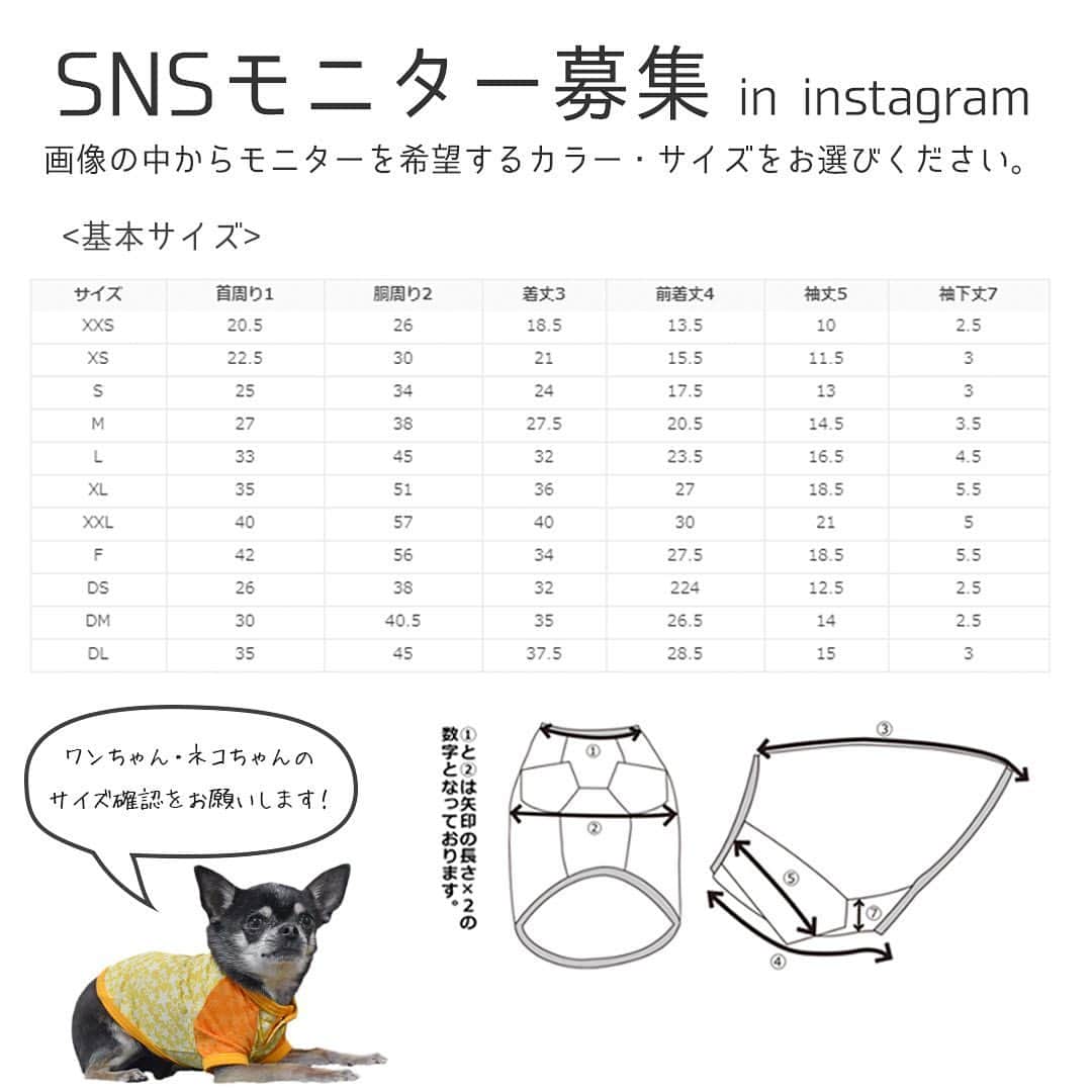 iDog&iCatさんのインスタグラム写真 - (iDog&iCatInstagram)「👕 * instagramフォロワー10000人突破記念！ 【SNSモニター募集】を開始します！ おかげさまで、フォロワーが10000人を突破いたしました！ 皆様のお力添えがあったからこそです。 これからも社犬・社猫のゆる〜い投稿や新商品紹介、SNS限定企画などを行っていく予定です。 今後ともiDog&iCatをよろしくお願い致します🙇‍♀️✨ * 今回は、記念ということで3回連続で行います！ 感謝の気持ちを込めまして、少しでも多くの方にiDog&iCatの商品をお届けできればと思います！ * instagramアカウントをお持ちの方なら誰でも参加可能!! iDog&iCatのグッズをまだ使った事がない方も、いつもご愛用していただいている方も、誰でも気軽に参加してくださいね♪ * 第3弾のお試しグッズは【KEICE 切替スターTシャツ】です！ KEICEは、遮熱・放熱の同時作用により冷却機能を持った特殊プリント加工のお洋服です。 体外に放出することで、衣服内を常に快適な状態に保ちます。 これからの暑い季節にぴったりなお洋服をお送りいたしますので、届いた商品を使用した愛犬・愛猫のお写真をinstagramに投稿してください♪ * 【モニター応募方法】 1）iDog&iCatアカウントをフォロー 2）【#iDogSNSモニター応募】へ愛犬・愛猫のお写真を投稿！ その際、愛犬・愛猫のお名前と、この投稿の3枚目の画像から希望のカラー・サイズの番号を記載して応募完了です！ * ⚠️ペットのサイズの確認をお願いすします。 ⚠️今回は、今までのモニター企画にご応募いただいたものも一度無効とさせていただきますので、改めてご応募をよろしくお願いします。 ⚠️モニターエントリー応募される方は、この告知投稿より後の投稿のみ有効とさせていただきます。 過去投稿にハッシュタグをつけていただいても、エントリー確認ができませんのでご注意ください。 ⚠️アカウントが非公開設定になっている場合、応募が確認できませんので、必ず全体公開されているアカウントでご応募ください。 * 今回のモニター応募期間は【5/14 - 5/17 15:00まで】です！ 当選者はiDog&iCatアカウントからダイレクトメッセージにてご連絡させていただきます。 * もちろん、猫ちゃんのご応募も大歓迎です♪ 皆様のご応募、お待ちしております♪ * #idogicat #iDog #iCat #犬 #いぬ #猫 #ねこ #モニター募集 #犬の服iDog #お試し #ひんやりウェア #KEICE」5月14日 15時29分 - idogicat