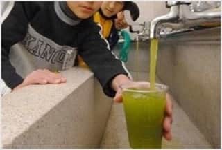 Wabi•Sabiのインスタグラム：「Did you know? -Strange elementary schools-  In Japan, there are 47 prefectures, and they have a well-known local product.  For example, Ehime is known as a local specialty of orange.  Kobe is known as a local specialty of Kobe beef.  Uji city, Kyoto is known as a local specialty of Japanese green tea named Uji tea. In Uji city, you can drink Japanese green tea from the tap at elementary school.  Just turn on tap and drink green tea.  That’s so weird! But it’s common for them who go to the elementary school to drink green tea from the tap.  So I’ve been talking to them about it.  Though they already graduated from elementary school, they thought it was common to drink green tea from the tap every elementary school.  But this matter isn’t only Uji city, Kyoto. Actually you can drink orange juice from the tap at one of elementary school of Ehime. Because of Ehime is known as a local specialty of orange.  That’s so funny. I’m really interested in Japanese elementary school.  Though I’m Japanese, my elementary school comes out only water from the tap. . I'm wondering if Kobe beef comes out from the tap at Kobe’s elementary school! . What tap do you want?」