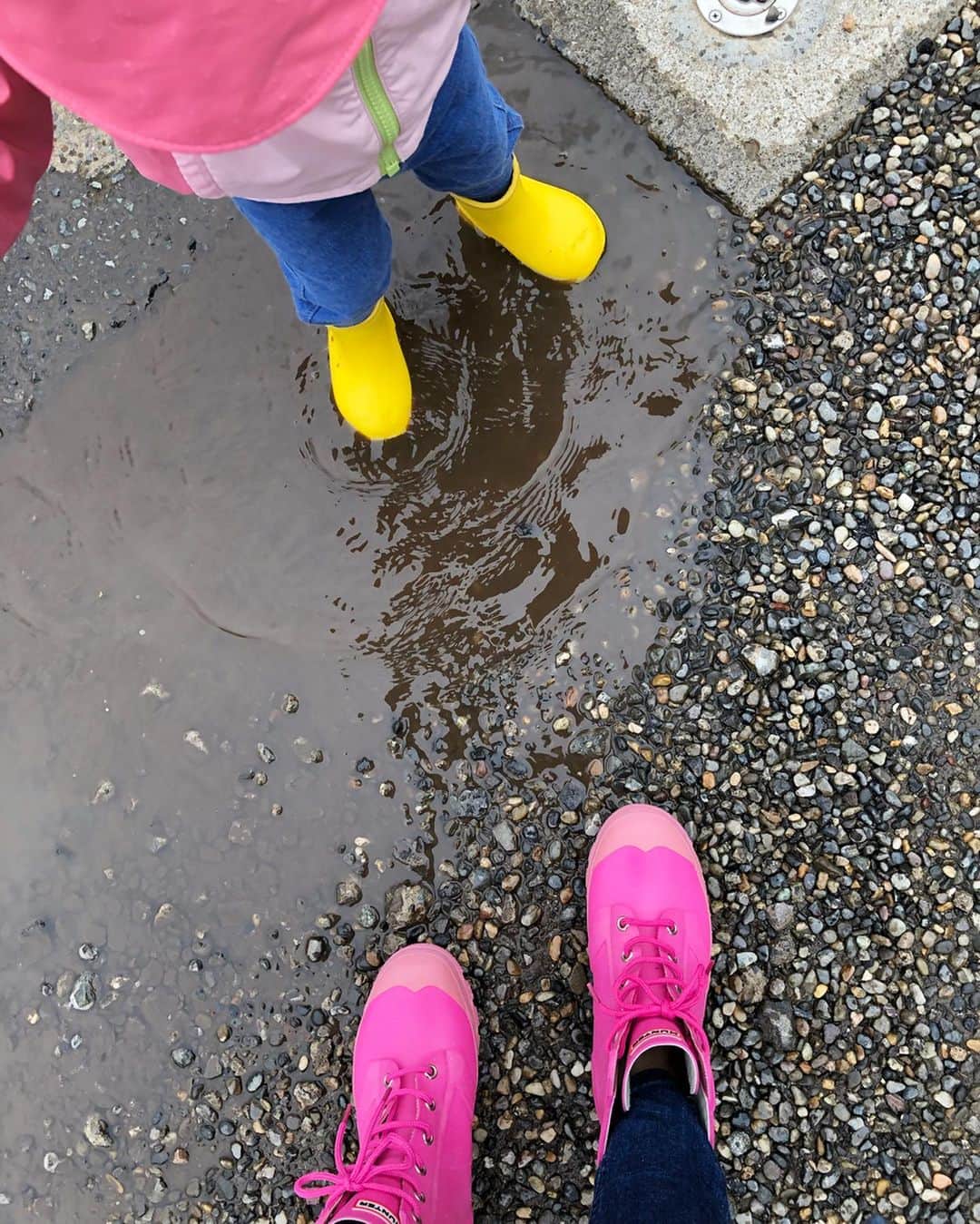 山口愛実さんのインスタグラム写真 - (山口愛実Instagram)「昨日は新しいレインシューズでお散歩するにはちょうどいい小降りの雨🐸 ユニ子はトイザらスで買ったHIPOFANTの長靴（すぐサイズアウトしちゃうから999円のお買い得品🥴）私はHUNTERのThurloe、フクシアカラーはデッドストックだったからか5000円とかなりお得になってました💧可愛い色なのに中々ピンクは皆さん敬遠されるのでしょうか 私は雨の日は傘や靴をあえて明るい色を合わせたくなるタイプなのでラッキー✨  大人になってから水溜りは避けて歩いてましたが、娘と一緒にじゃぶじゃぶ言いながら入る小さな小さなお池は楽しい♪ 小池の近くにダンゴムシがいたので捕まえて見せたら怖がってたけど乾いてる場所に放すときにユニ子がダンゴムシさんに「バイバイ」って言ったのが可愛くて可愛くて❤️ #雨の日 #雨の日コーデ #ママコーデ  #1歳5ヶ月  #女の子ママ  #長靴 #トイザらス  #hunterboots  #雨の日も長靴履いてお散歩しようね🐸」5月15日 2時03分 - manami_0331