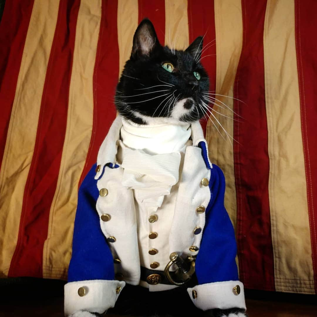 猫コスプレさんのインスタグラム写真 - (猫コスプレInstagram)「What sparks will you fan into flames?  #Motivation #Hamilton . . . . . . #alexanderhamilton #hamiltonthemusical #hamiltoncosplay #catcostume #CatCosplay #motivationalquotes #cosplay #Victorian #victorianfashion #cat #costume」5月15日 2時28分 - cat_cosplay