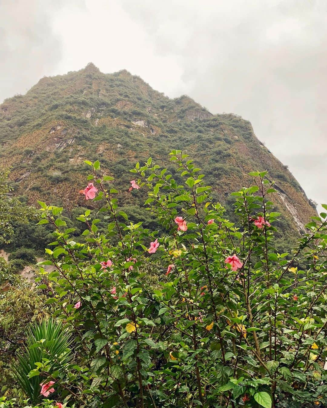 ミランダ・カーさんのインスタグラム写真 - (ミランダ・カーInstagram)「Missing this magic ✨ 🌺 ✨ #Peru」5月15日 2時51分 - mirandakerr