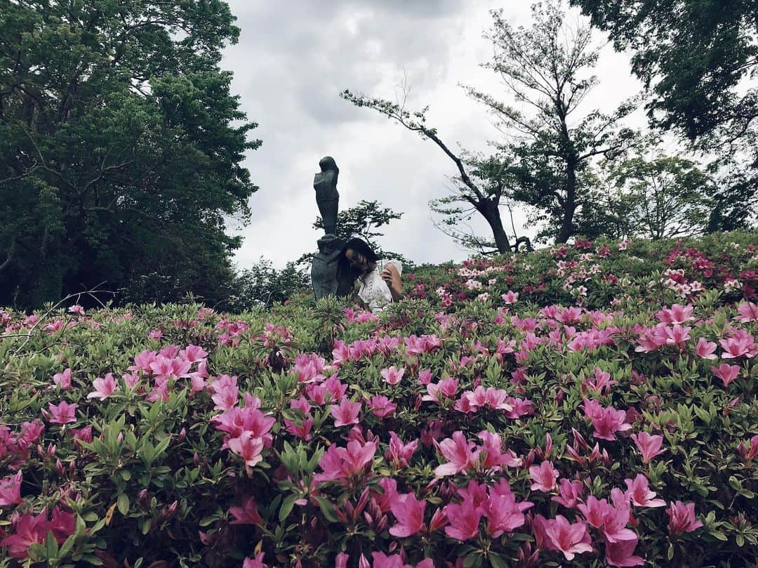 樋口千紗さんのインスタグラム写真 - (樋口千紗Instagram)「このあと #昭和記念公園 で雷鳴って大雨に打たれる羽目になるとは、この時まだ知らなかった。 .  @importshop_nicchia . 【お知らせ】 👑Lady Universe Japan 2019👑 募集締切間近！！ @ladyuniversejapan . 【ファイナリストに選ばれたら…】 💎世界でモデル活動・国内芸能活動のチャンスあり！ 💎美容関係企業のPRモデル・インスタグラマーとしてのお仕事も！ 💎ウォーキング、メイク・ファッション、ダイエットなどのビューティーレッスン無料！ 💎エントリー費用・大会出場料、全て無料！ 💎日本代表に選ばれた方にはブルガリアへの渡航チケットプレゼント！ . . 【こんな女性を求めています】 👠海外大好き！海外で活躍したい！ 👠自立した美しい女性になりたい！ 👠コンプレックスを克服して外見・内面ともに自信をつけたい！ . という方は是非ご応募ください。 Lady Universe Japanはあなたの人間性とやる気を重視します。 . . 【応募条件】 ・女性であること ・日本国籍(パスポート)を有していること ・2019年12月31日までに年齢満18歳以上28歳以下であること ・婚姻経験・出産経験が無いこと ・FacebookとInstagramのSNSアカウントを持っていること ・自発的に感謝の気持ちを持って常識ある態度で活動に取り組めること ・2019年6/2(日)二次審査(面接)の参加が可能であること ・2019年8/2(金)日本大会に参加可能であること ・2019年10月中旬にブルガリアで開催される世界大会への出場が可能であること(約1週間) ・身長制限なし ・芸能事務所やエージェント所属の方は必ず事務所に許可を得てからエントリーして下さい . . 【二次選考】 開催日:6/2(土)13:00〜18:00  場所:銀座(詳細は書類選考通過者にお伝えします) . . 【日本大会】 開催日:8/2(金)  場所:都内開催 . . 【応募締切】 2019年5月31日(金) . . 【エントリー方法】 プロフィール記載のURLより応募ください。 . #NICCHIA #ニッキア #ワンピ #ドレス #デートコーデ #ホワイトコーデ #gw #公園 #自然 #ドレス #ootd #ミスコン #ladyuniversejapan #レディユニバースジャパン #ミスコンテスト #シースルー #レース #ホワイトドレス #ラッフルドレス #フリルワンピ」5月14日 18時31分 - chisa.higuchi