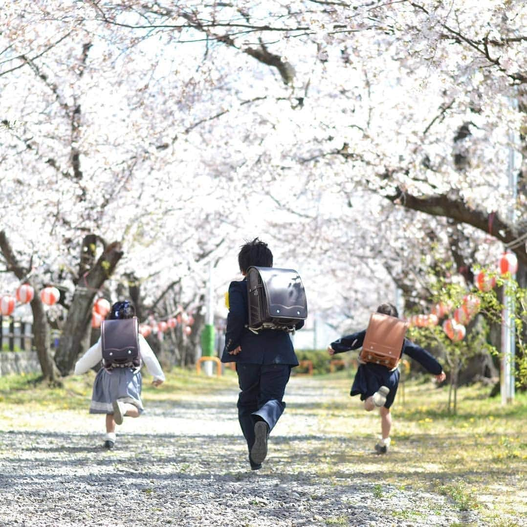 Photobackさんのインスタグラム写真 - (PhotobackInstagram)「入学式は桜が満開🌸ちょっと大きなランドセルを背負って、めいいっぱい走っている姿は、元気の証ですね😊素敵な作品をありがとうございます😄 . ここでは、「春のInstagram投稿キャンペーン」で、#photoback春の思い出2019 のハッシュタグをつけて投稿いただい作品の中から、素敵な作品をご紹介しています。 . 今回ご紹介した以外にも、素敵な春の思い出投稿がたくさんありますので、ぜひ #photoback春の思い出2019 もご覧くださいね✨ . . #photoback春の思い出2019 #春の思い出 #春のおでかけ #平成最後の春 #photoback #フォトバック #フォトブック #思い出 #写真 #photo #写真整理 #ママ #mama #キッズ #子育て #コドモノ #ママリ #子育てぐらむ #親バカ部 #こどものいる暮らし #キッズレート #入学式 #ランドセル #桜 . ━･･━･･━･･━･･━･･━･･━ #Repost @nakanaoanna ━･･━･･━･･━･･━･･━･･━ 桜満開🌸. ステキな入学式になりました💕. 走ってる姿が、めちゃくちゃ楽しそう🌸🌸🌸😊 . . #photoback春の思い出2019」5月14日 18時33分 - photoback.jp