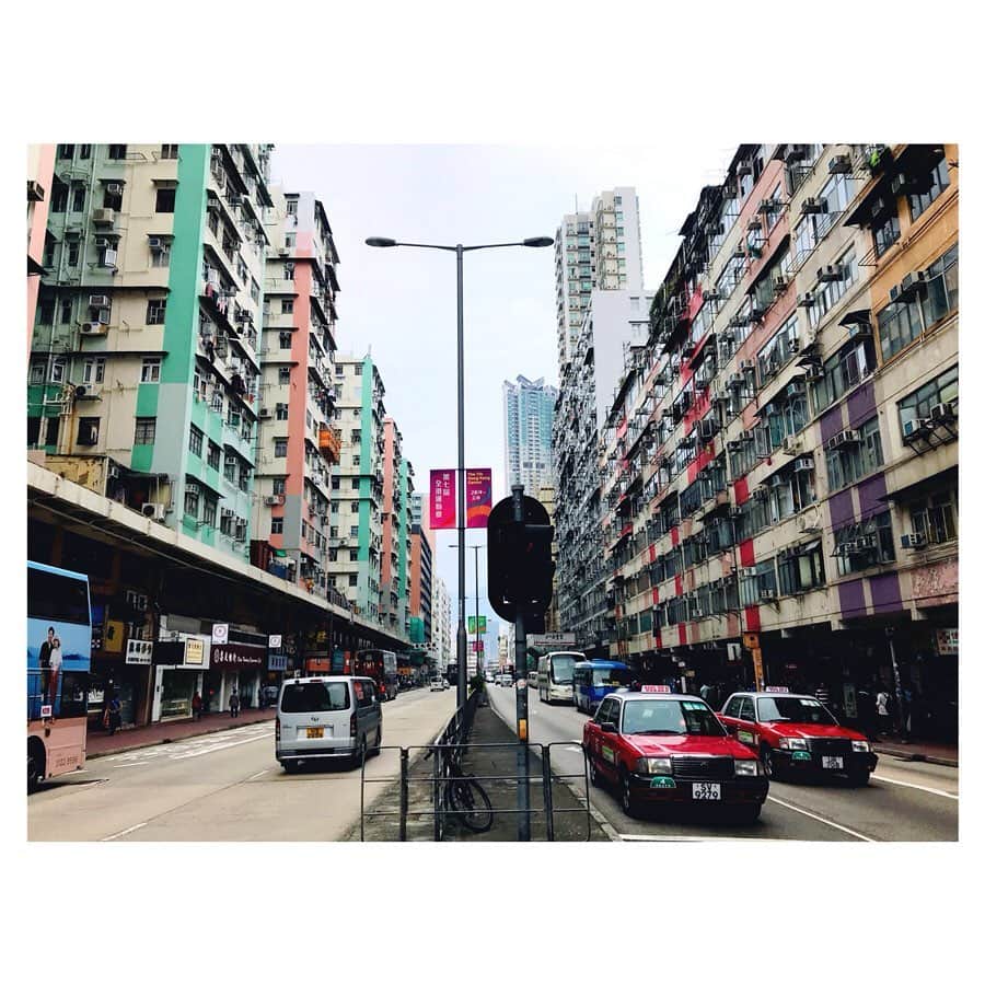 桜めいさんのインスタグラム写真 - (桜めいInstagram)「🇭🇰 思い出し香港🐼 香港の建物はカラフルでポップで 綺麗に正方形だったり長方形だったりするから ちょっとオモチャみたいな感じもありつつ 下から見上げると圧巻だったし 洗濯物の干し方が斬新だから 街中にパンツがちょこちょこ落ちてて 普通に歩いてるだけで面白かった😳 ・ #hongkong #香港 #🇭🇰 #trip #旅行」5月14日 18時33分 - mei_0406