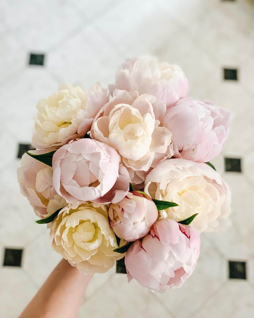 Yukicoさんのインスタグラム写真 - (YukicoInstagram)「Peonies are in full bloom𓂃𖡼𓇢 好きな花♡ めっちゃ探してくれただけでも 十分ありがとう♡ ‥‥‥‥‥‥‥‥‥‥‥‥‥‥‥‥‥‥‥‥‥‥‥‥‥‥‥‥‥‥‥‥‥#storyofmylife#flowerslovers#flowerstyles#floweroflife#flower_perfection#flowerstagram#still_life_gallery#littlethings#livethelittlethings#tv_living#f52grams#f52home#simplepleasures#momentslikethese#flowertalking#bouquets#flowerpower#thatsdarling#nothingsordinary#peony#peonies#peonyseason#peonylove#summeressentials#summerflowers#summerbeauty#petitejoys#flowers_earth#flower_igers#flowerstyles」5月14日 18時43分 - yukicolifecom
