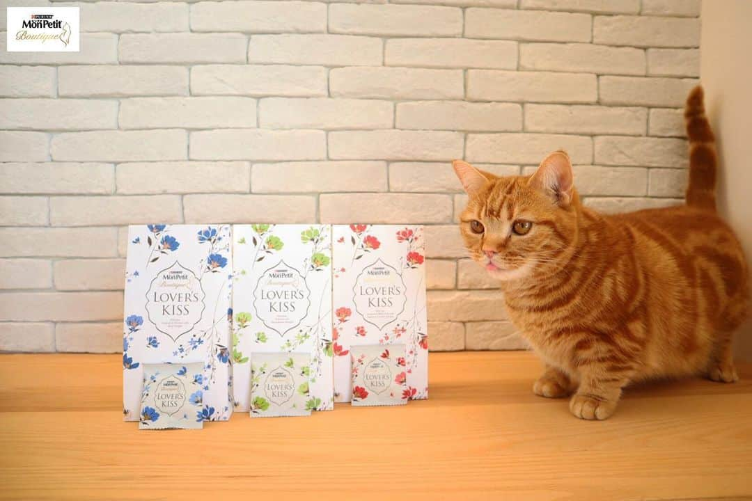 Purina Mon Petit Japanさんのインスタグラム写真 - (Purina Mon Petit JapanInstagram)「「モンプチ ブティック」から登場した"ラバーズキッス"は、上質な素材を使った3種類の味を楽しめる、ネコちゃんのためのとっておきのおやつ✨﻿ ﻿ 最愛のネコちゃんにはもちろんですが、ギフトにもぴったりなんです🎁﻿ ﻿ お友達のネコちゃんに、ちょっと気の利いたお土産をプレゼントしてみてはいかがですか？😊﻿ ﻿ \ 好評につき定番製品化しました /﻿ 画像をタップすると購入できます👆﻿ -------------------------------------﻿ ﻿ #モンプチ #モンプチブティック #ラバーズキッス #キャットフード #ねこ #ネコ #猫 #にゃんこ #にゃんすたぐらむ #ねこすたぐらむ #にゃんだふるライフ #ねこ部 #猫部 #にゃんこ部 #猫好き #猫大好き #猫がいる生活 #猫のいる暮らし #猫好きな人と繋がりたい #猫好きさんと繋がりたい #猫の気持ち #猫用品 #猫と暮らす #猫写真 #猫のおやつ #おやつ #ギフト #ギフトにオススメ #贈り物 #プレゼント」5月14日 18時52分 - monpetit_jp