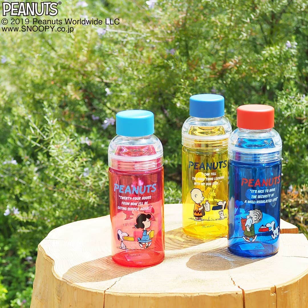 ワンズテラスのグルメインスタ