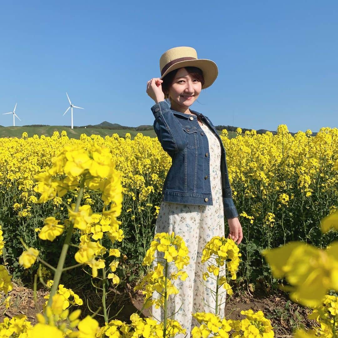 稲葉千秋さんのインスタグラム写真 - (稲葉千秋Instagram)「横浜町の菜の花畑へ フォト撮影に行ってきました〜😆🎵 満開で一面黄色！！ 快晴！そして青い海！ 最高なロケーションでした❣️ プロのカメラマンさんにも撮っていただいたので その写真はまた後日アップします😊✨ #菜の花畑  #菜の花フォト  #横浜町  #一面黄色のじゅうたん  #快晴 #最高のロケーション  #気持ちいい #はちぶんぶん」5月14日 19時50分 - chakey_15