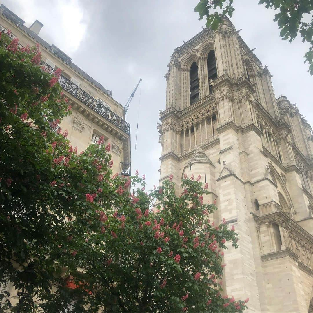 後口早弥香さんのインスタグラム写真 - (後口早弥香Instagram)「Paris編。🇫🇷 パリの建物はロンドンより少し大人でした。 どこに行っても歴史的な建物ばかりで圧巻。 この時期は21時頃まで明るく、日が暮れる頃には空がピンクになり、幻想的です。 そして、大好きなクロワッサンがサクッサクッで幸せな日々でした🥐🥐🥐 毎日食べたい♡ #Paris #france #パリ #エッフェル塔」5月14日 20時34分 - sayaka.atoguchi