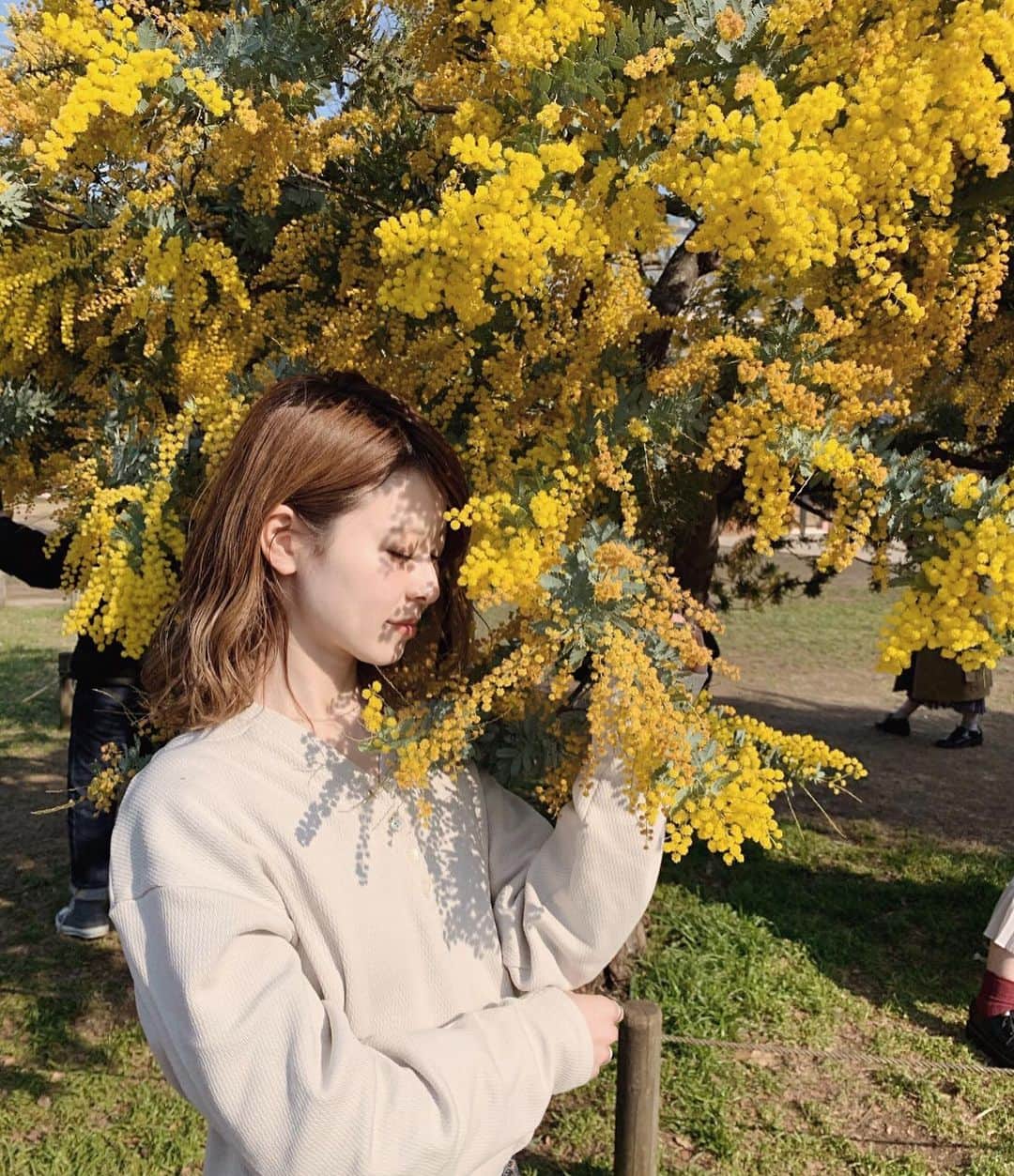 のインスタグラム：「ㅤㅤㅤㅤㅤㅤㅤㅤㅤㅤㅤㅤㅤ  よく質問いただく髪の巻き方を  やっと動画撮りました.. (お待たせしてすみません🙇🏻‍♂️) ㅤㅤㅤㅤㅤㅤㅤㅤㅤㅤㅤㅤㅤ  今回はリーゼのアイロン用カールローションを  巻く前に使いました♡  ㅤㅤㅤㅤㅤㅤㅤㅤㅤㅤㅤㅤㅤ  しっかりめに巻きたい気分だったので  26mmのコテで  しっかり巻いて崩れないように◎  ㅤㅤㅤㅤㅤㅤㅤㅤㅤㅤㅤㅤㅤ  #リーゼ #ヘアスタイリング  #ヘアスタイル #ヘアアレンジ  #髪チャレ #リーゼ_広告」