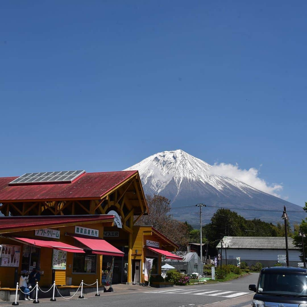 がんちゃんさんのインスタグラム写真 - (がんちゃんInstagram)「#てんタッキー富士山の旅  2019年5月8日  河口湖から朝霧高原へ。 #富士ミルクランド へ行ってみました。 小さい動物園があって、てんタッキーとも興味津々👀 ペット可のコテージもあり今回泊まったWoofさんと、こちらのコテージとどちらにしようか迷ったんですよね〜🧐(4枚目) 美味しいジェラートをてんタッキーにもおすそ分け♪」5月14日 21時04分 - kota2ann