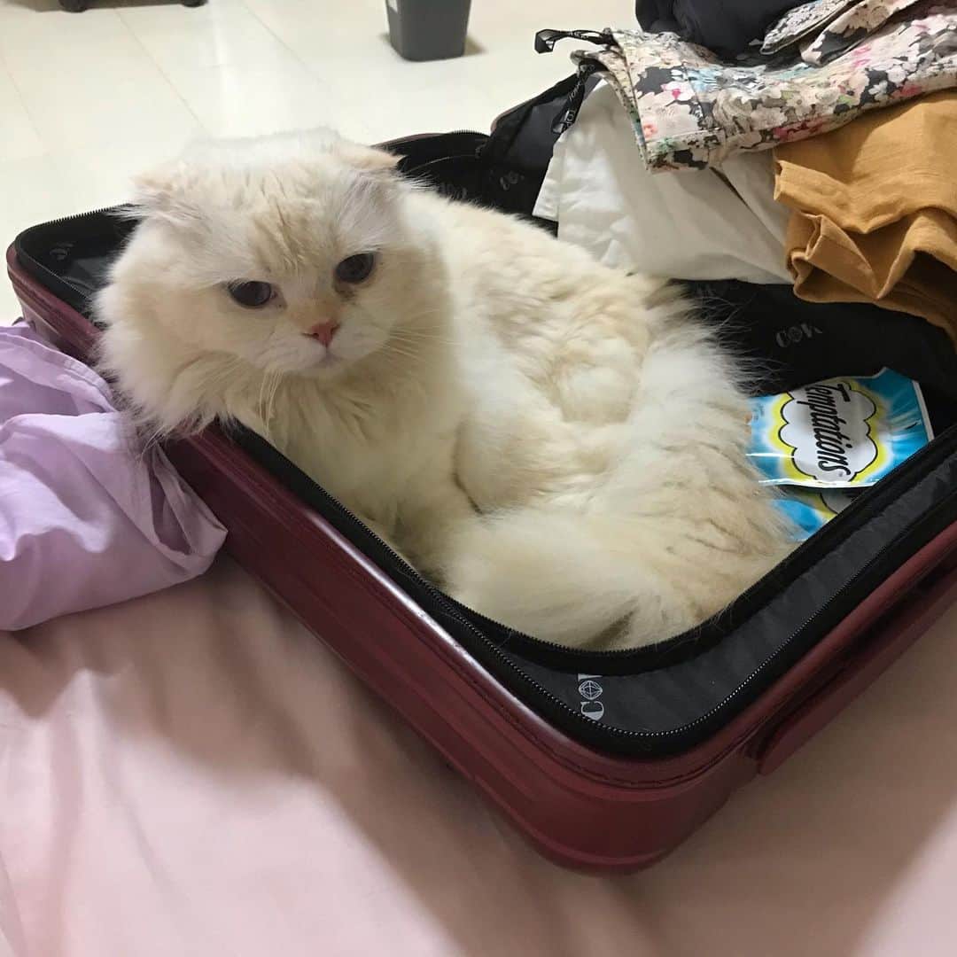 Haruのインスタグラム：「I will go wherever you go. #gentleharper #จะไปไหนให้เป้อไปด้วย」