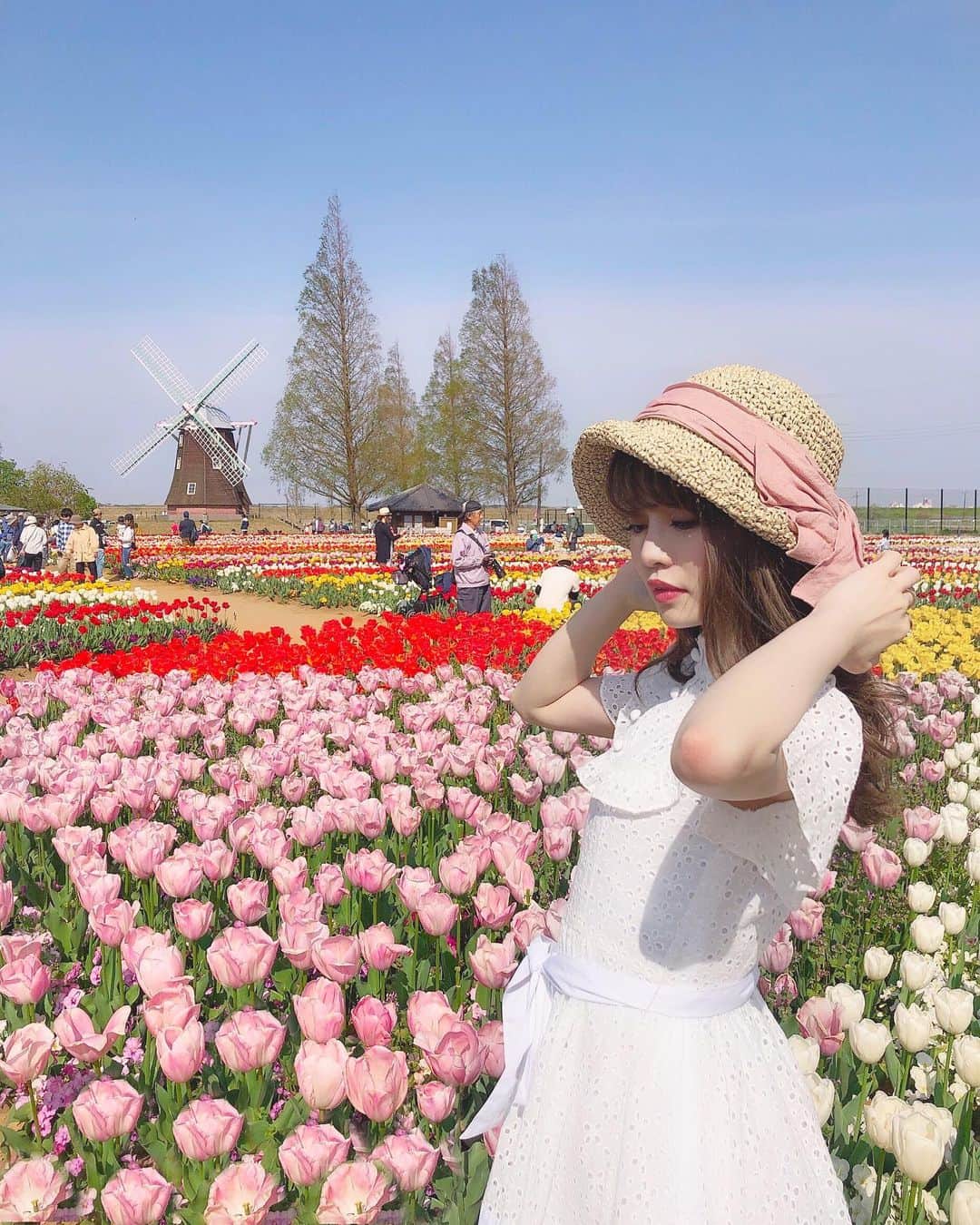 Isakoのグルメインスタ