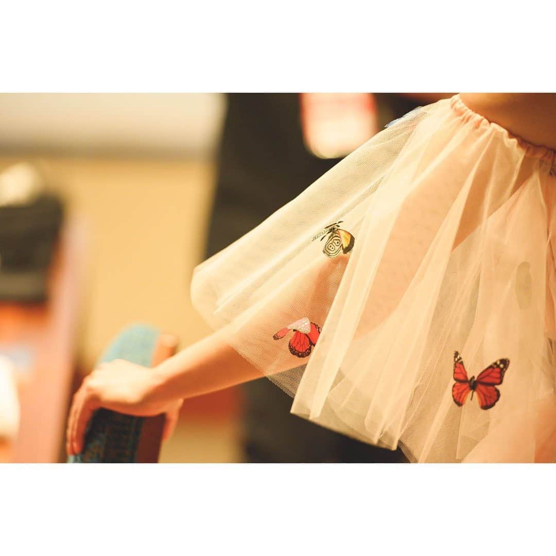 のインスタグラム：「蝶々🦋 #butterfly #earth #dress」