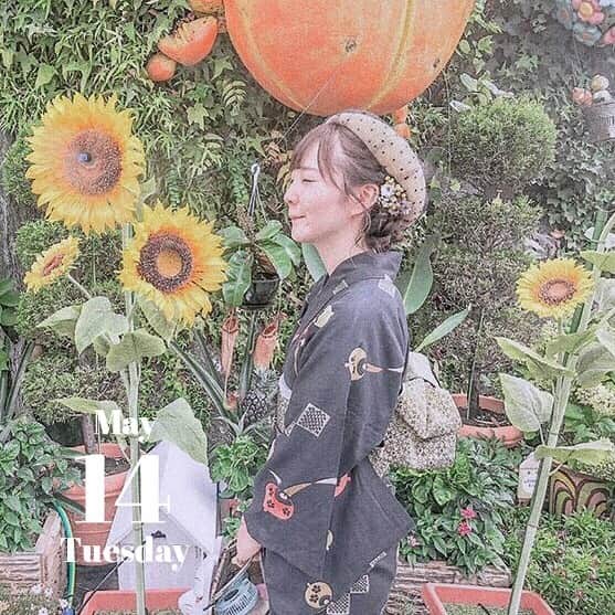 のインスタグラム：「#着物﻿ ﻿﻿ 向日葵と一緒に🌻☺︎﻿ ﻿﻿ #snowcam #snowアプリ #instagood #l4l﻿﻿ #5月 #maymood #ひまわり #向日葵 #きもの #kimono #花やしき #お洒落さんと繋がりたい」