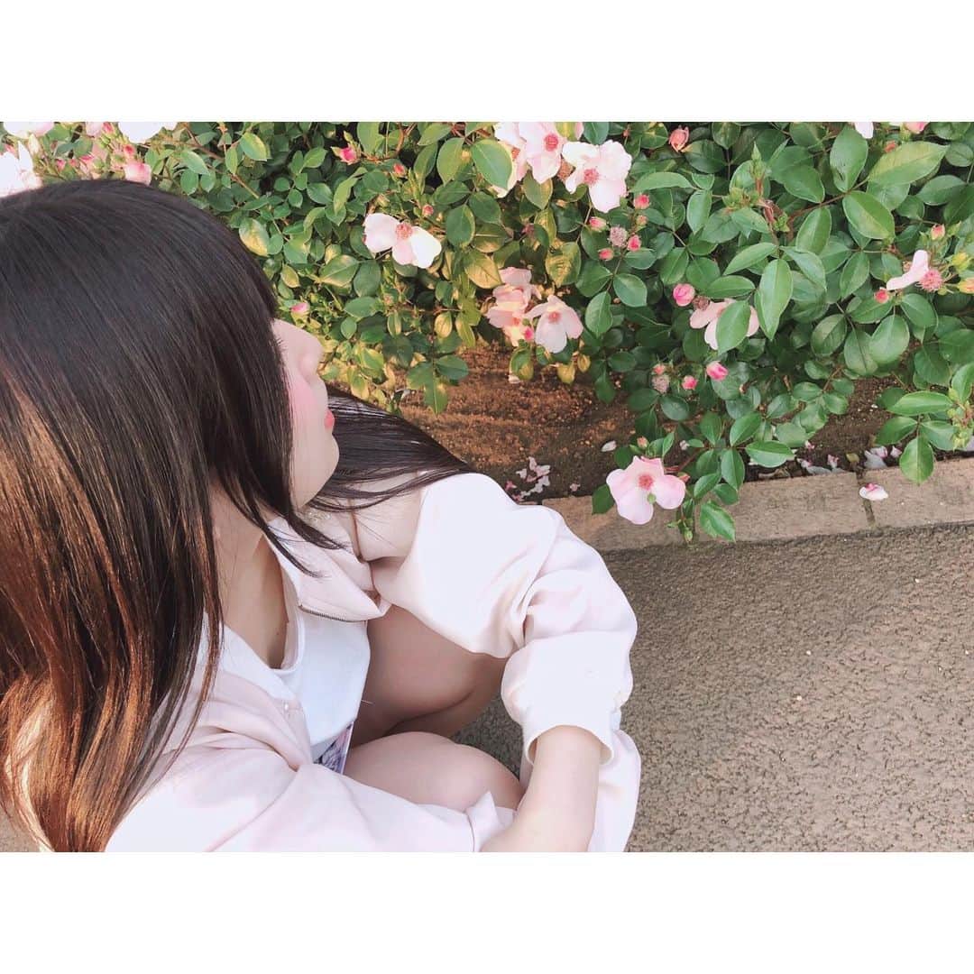 三村妃乃さんのインスタグラム写真 - (三村妃乃Instagram)「♡ 薔薇の季節ですね🌹💫 ♡ #ngt48 #三村妃乃 #バラ #rose」5月14日 21時46分 - hino_yuiitsu62