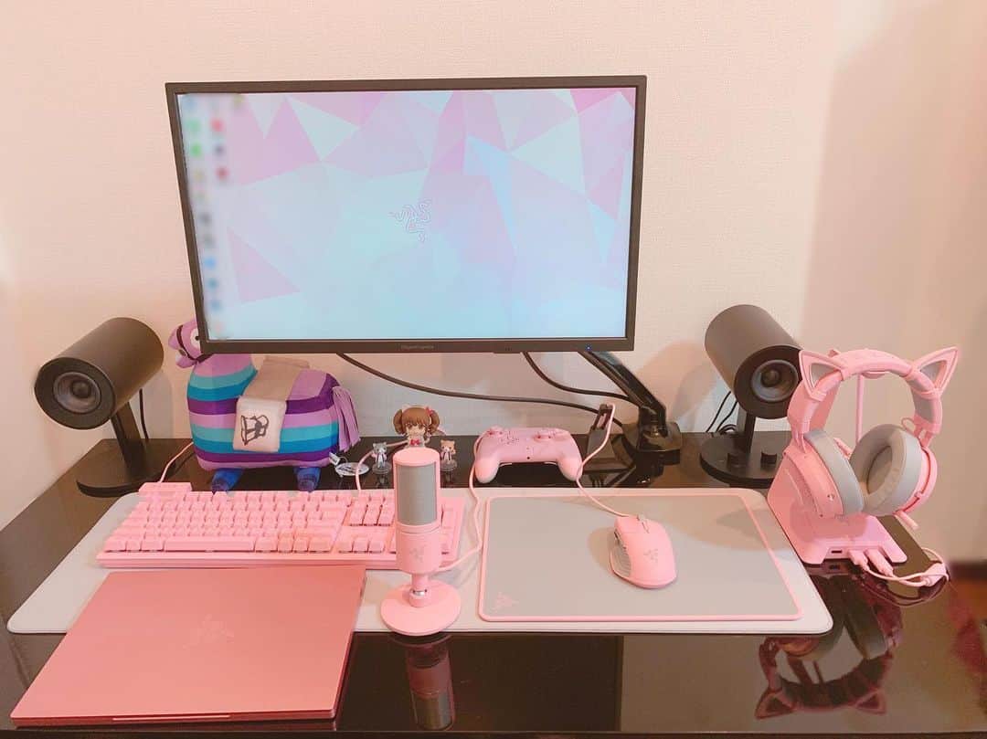 えなこさんのインスタグラム写真 - (えなこInstagram)「PC周りがピンク色に統一されて可愛くなってきました🌸 最近やってるゲームはR6Sです😋 #Razer」5月14日 21時49分 - enakorin