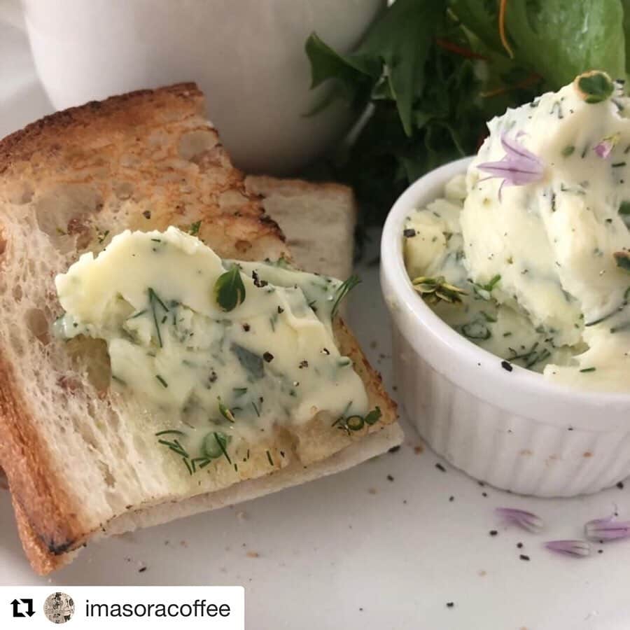 HERVA AKICOのグルメインスタ