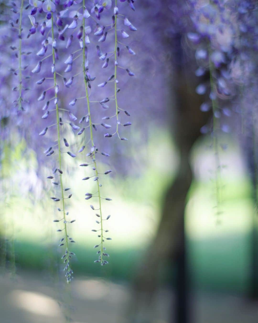 Naomiのグルメインスタ