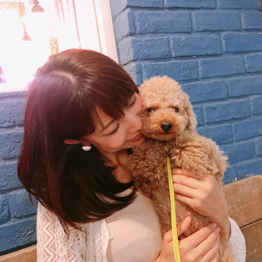 熱田久美さんのインスタグラム写真 - (熱田久美Instagram)「昨日は #愛犬の日 だったみたいです🐶💙 ストーリーズに質問を投稿したら  #わんこ を飼っている方が46％もいました✨ 質問答えてくれてありがとうございます！ ・ ということで！！！ 今夜はいぶりんの満面の笑みをお届け！(∪・ω・) 2枚目のイブの表情にも注目👀スワイプ⥲ ・ #toypoodle #トイプードル #トイプー #わんこのいる生活 #犬のいる暮らし #いぬのいる暮らし #犬 #いぬすたぐらむ #いぬのきもち #愛犬  #わんこなしでは生きていけません会 #いぬのきもち部  #犬好きさんと繋がりたい #笑顔 #超絶可愛い #かわいい  #わんこ部 #犬バカ部 #親バカ部 #癒しの時間  #トイプードルレッド #きゅん #일상그램 #좋아요 #안녕 #개」5月14日 23時40分 - kuumi1125