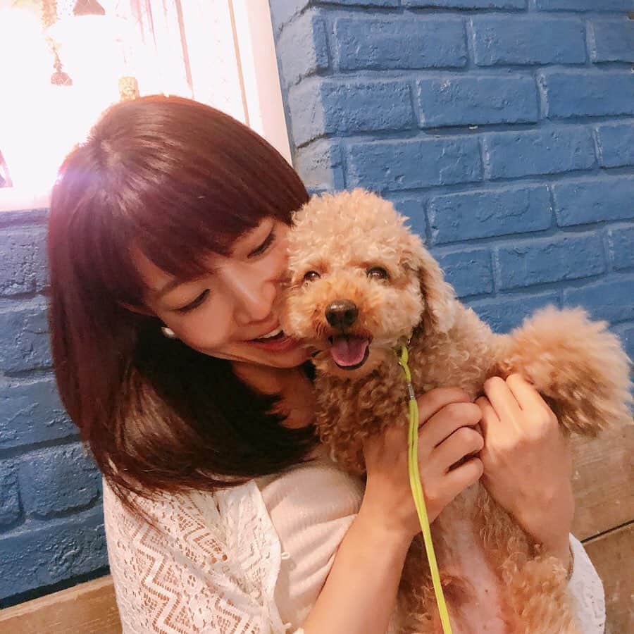 のインスタグラム：「昨日は #愛犬の日 だったみたいです🐶💙 ストーリーズに質問を投稿したら  #わんこ を飼っている方が46％もいました✨ 質問答えてくれてありがとうございます！ ・ ということで！！！ 今夜はいぶりんの満面の笑みをお届け！(∪・ω・) 2枚目のイブの表情にも注目👀スワイプ⥲ ・ #toypoodle #トイプードル #トイプー #わんこのいる生活 #犬のいる暮らし #いぬのいる暮らし #犬 #いぬすたぐらむ #いぬのきもち #愛犬  #わんこなしでは生きていけません会 #いぬのきもち部  #犬好きさんと繋がりたい #笑顔 #超絶可愛い #かわいい  #わんこ部 #犬バカ部 #親バカ部 #癒しの時間  #トイプードルレッド #きゅん #일상그램 #좋아요 #안녕 #개」