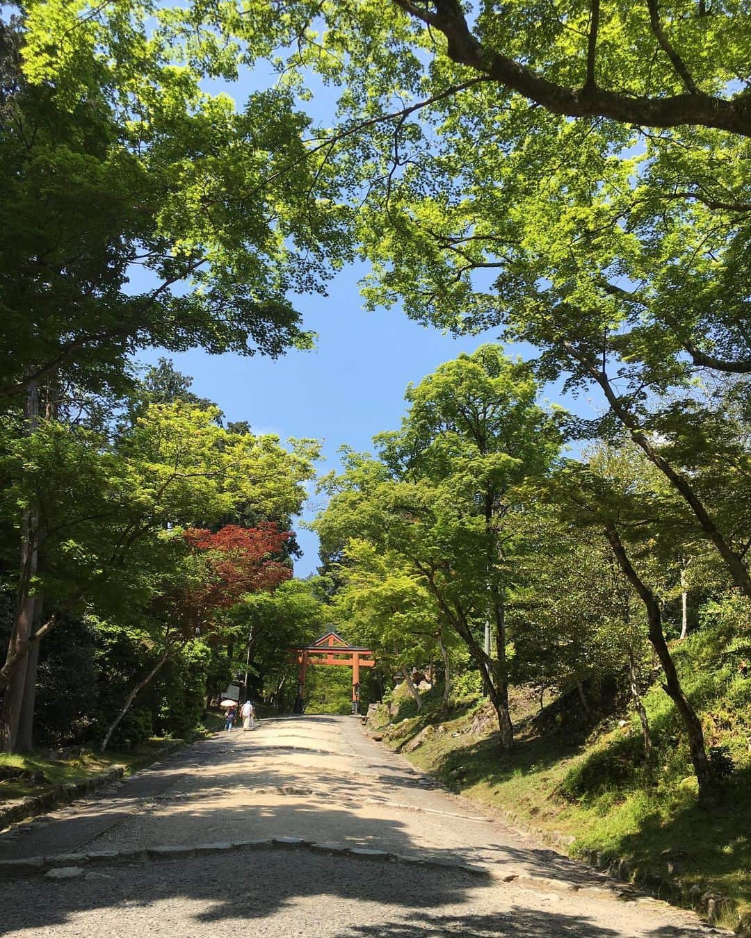 宮島小百合さんのインスタグラム写真 - (宮島小百合Instagram)「#滋賀 #滋賀観光 #日吉  #日吉神社  歩いて空間にいるだけでめちゃくちゃ気持ちが良かったです！ パワースポット並み！！ 緑が綺麗でおすすめ！！！ 🥺🥺🥺」5月14日 23時53分 - sayuri_kakaka
