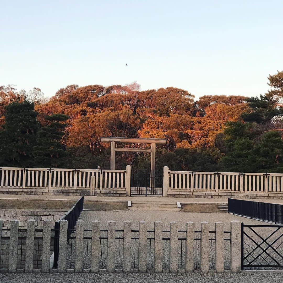 塚田文さんのインスタグラム写真 - (塚田文Instagram)「大阪から初めての世界文化遺産登録となることが概ね決まった模様。  発表されれば文化遺産としては国内19件目、自然遺産を含む世界遺産としては国内23件目なのだそうです。  一応、行ってみたんですけどね…  当たり前ながら、古墳は上から見ないと…  こうゆう眺めになります😅  中に入ることも勿論出来ませんのでね…  こうゆう眺めOnlyになります…。 だいぶ地味な世界遺産になりそうですね…。 #大阪府 #世界遺産 #百舌鳥古市古墳群 #読めるかなぁ #仁徳天皇陵 #前方後円墳 #ごめんなさい #森にしか見えない #カフェイロハ #ぜんざい  #japantrip #japantravel #osaka #worldheritage #nintokutennouryou #nintokutennoryokofun #ancienttomb #zenpoukouenfun  #zenzai #redbeanssoup #sweets」5月14日 23時57分 - tsukadaaya1976