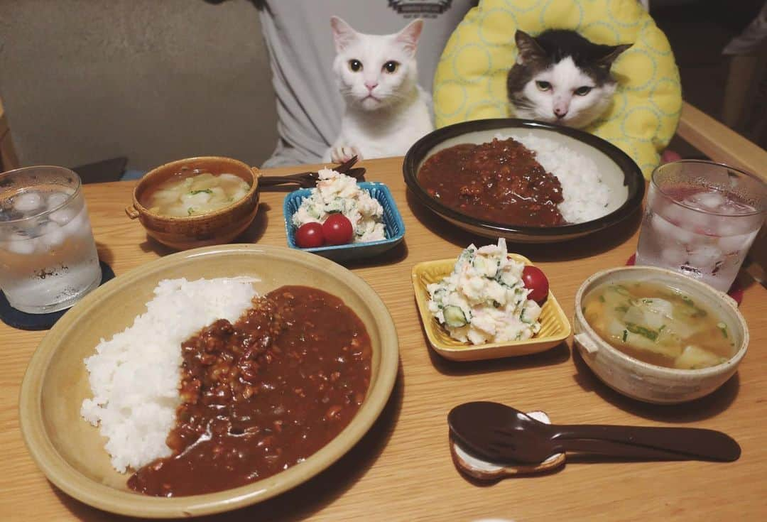 八、おこめさんのインスタグラム写真 - (八、おこめInstagram)「全部刻みカレー🍛🥄 2枚目→粉チーズかける前。 カレー食べたくて食べたくて、懸命に茄子・ピーマン・セロリ・トマト・玉ねぎを刻んだ…。あと豚ひき肉も入ってる。 頑張って刻んだ甲斐があった、うまいっ🤤❣️ 前に、らっきょタルタル作った時に教えてもらったから玉ねぎの代わりにポテサラに刻んだらっきょ入れた♩ これもうまいっ🤤❣️これから宇野家の定番になる✨と、キャベツのスープ。 #カレーライス #ポテサラ #八おこめ #ねこ部 #cat #ねこ #猫 #ネコ #八おこめ食べ物」5月15日 0時46分 - naomiuno