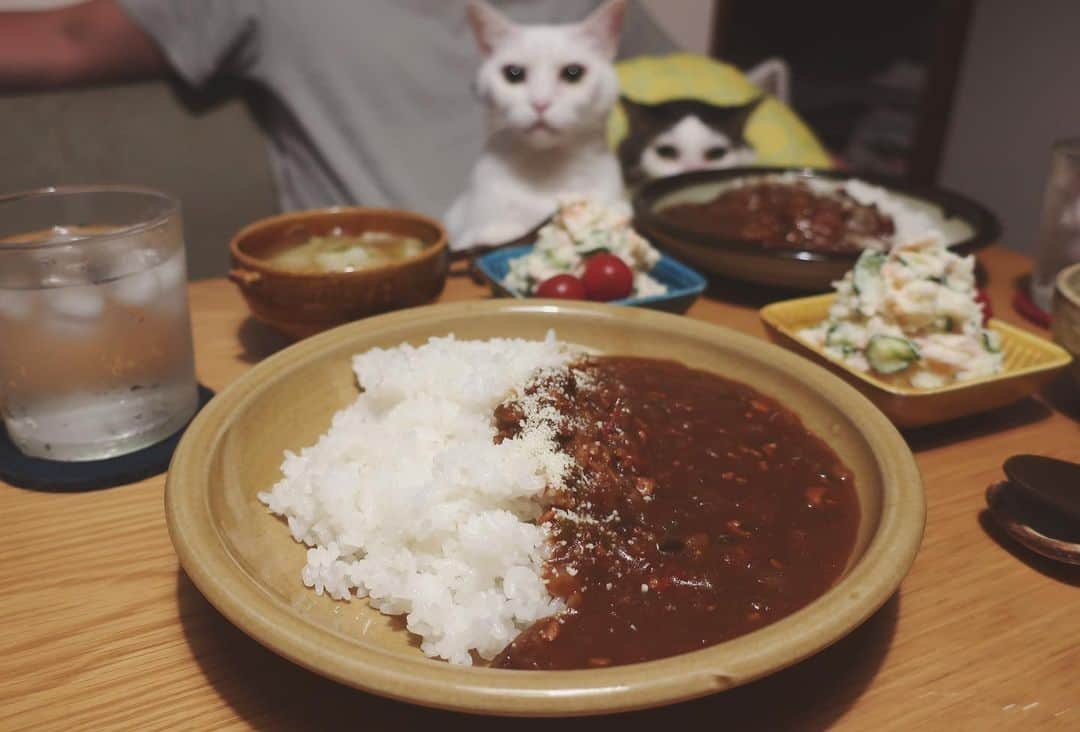 八、おこめさんのインスタグラム写真 - (八、おこめInstagram)「全部刻みカレー🍛🥄 2枚目→粉チーズかける前。 カレー食べたくて食べたくて、懸命に茄子・ピーマン・セロリ・トマト・玉ねぎを刻んだ…。あと豚ひき肉も入ってる。 頑張って刻んだ甲斐があった、うまいっ🤤❣️ 前に、らっきょタルタル作った時に教えてもらったから玉ねぎの代わりにポテサラに刻んだらっきょ入れた♩ これもうまいっ🤤❣️これから宇野家の定番になる✨と、キャベツのスープ。 #カレーライス #ポテサラ #八おこめ #ねこ部 #cat #ねこ #猫 #ネコ #八おこめ食べ物」5月15日 0時46分 - naomiuno