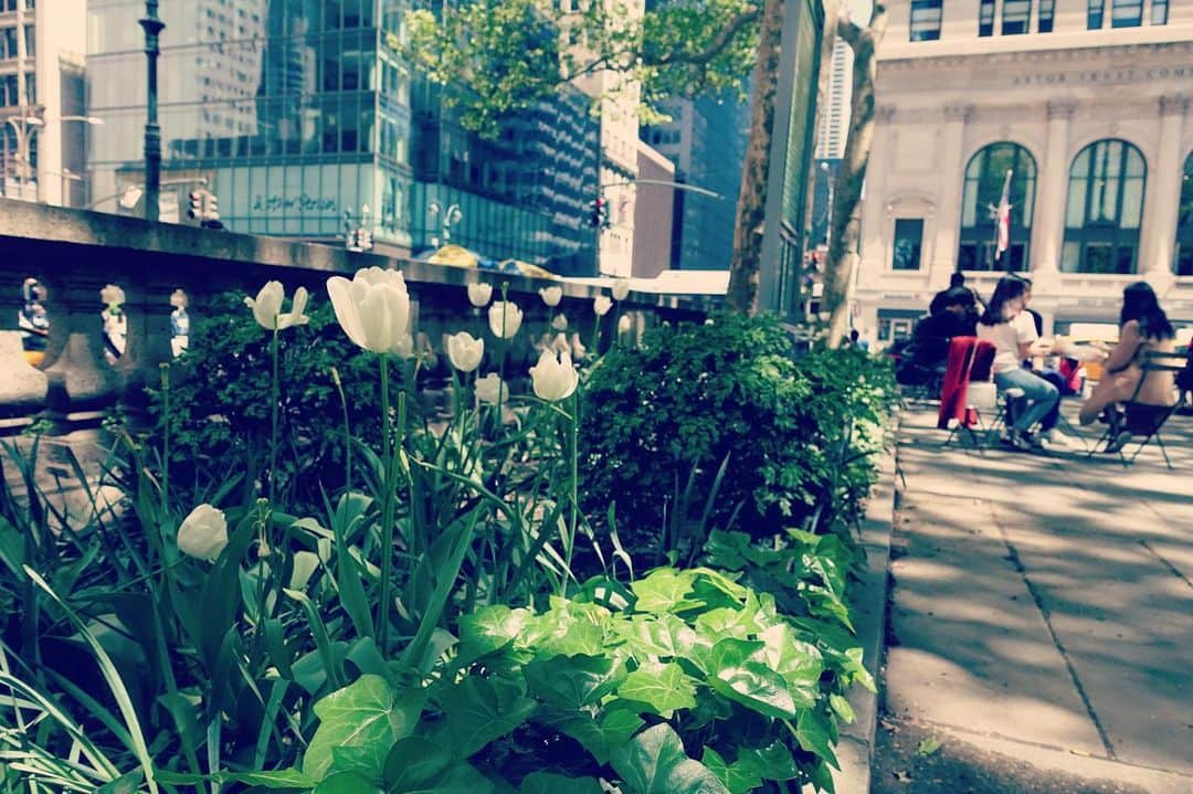 いぶくろ聖志さんのインスタグラム写真 - (いぶくろ聖志Instagram)「NY  thx」5月15日 0時52分 - b.smpl