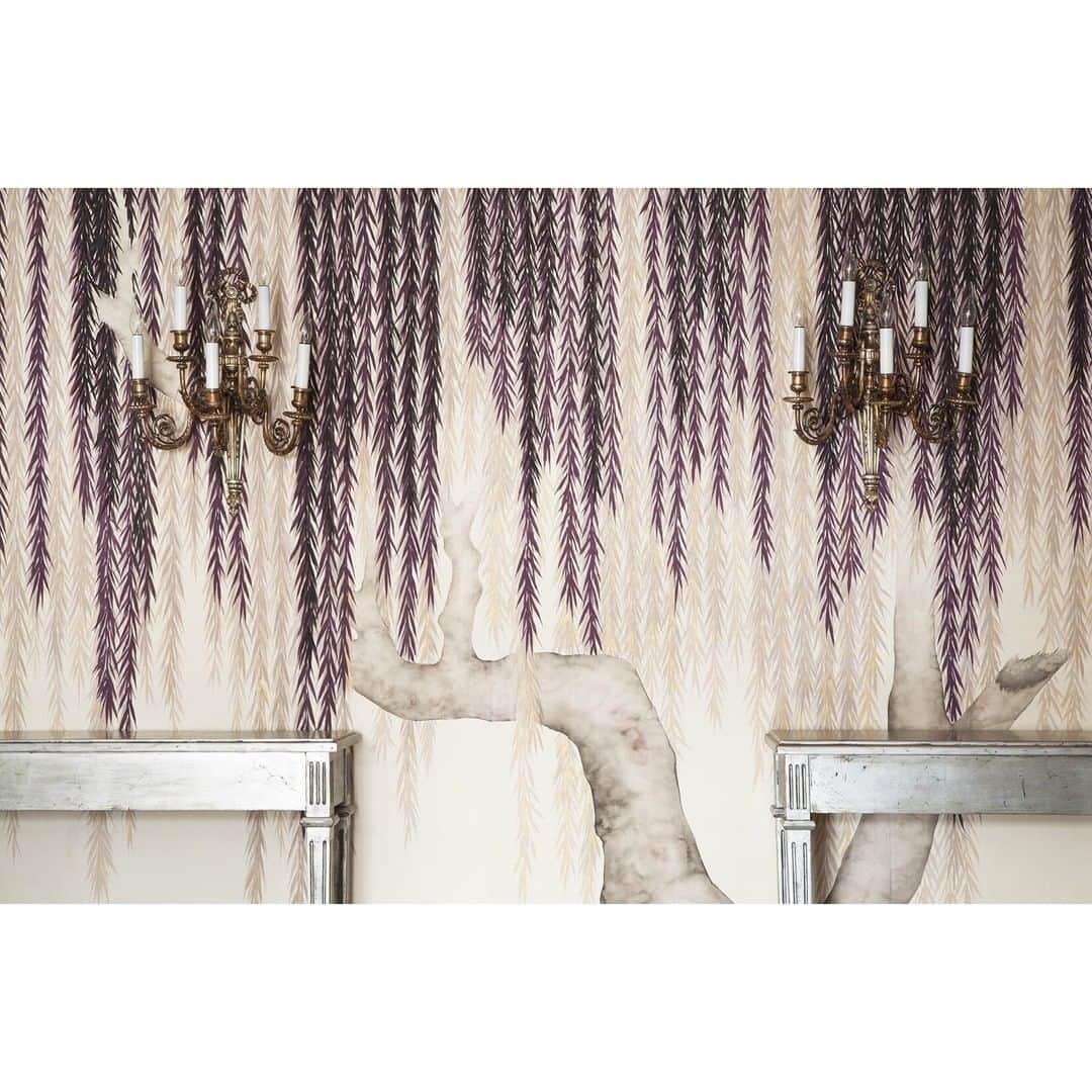のインスタグラム：「de Gournay’s Boysenberry Willows.」