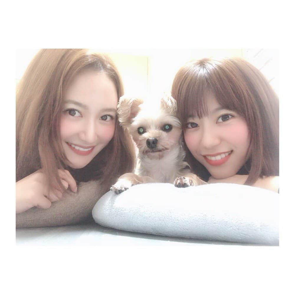 葉月ゆめさんのインスタグラム写真 - (葉月ゆめInstagram)「ゆめ ひじき めぐみ 🐶🌸 ・ ・ ランチしてお買い物して ひじきとたくさん遊んで いっぱいお喋りしました ☺️♡♡ (そしてひたすらYouTube流してた) ふふふ。心が満たされた。 またFF14も一緒にしようね 🎮 #dogstagram #instalike #わんちゃん #愛犬家 #ひじき #かわいい #癒された #引きこもり仲間 #家から出ない人たち」5月15日 1時32分 - yume_hazuki