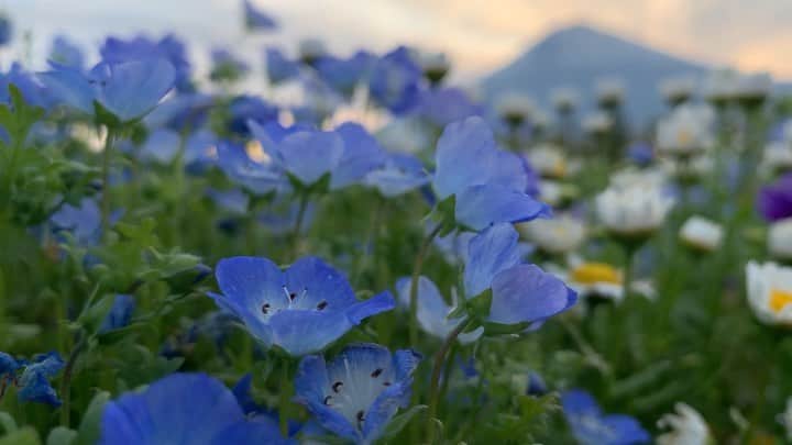 phantastic420のインスタグラム：「. 🤩🤩“Shizuoka” prefecture in Japan is a place where you can see the most “phantastic” Mt. Fuji🗻 in the world.🤩 #富士山 #mtfuji #japan #shizuoka #fujinomiya  #phantastic420photography #mostphantasticmtfuji #selamatpagi  #goodmorning  #おはようございます 😇😇😇😇😇😇😇🗻😇😇 全然出てこないので、ネタ切れです🤣」