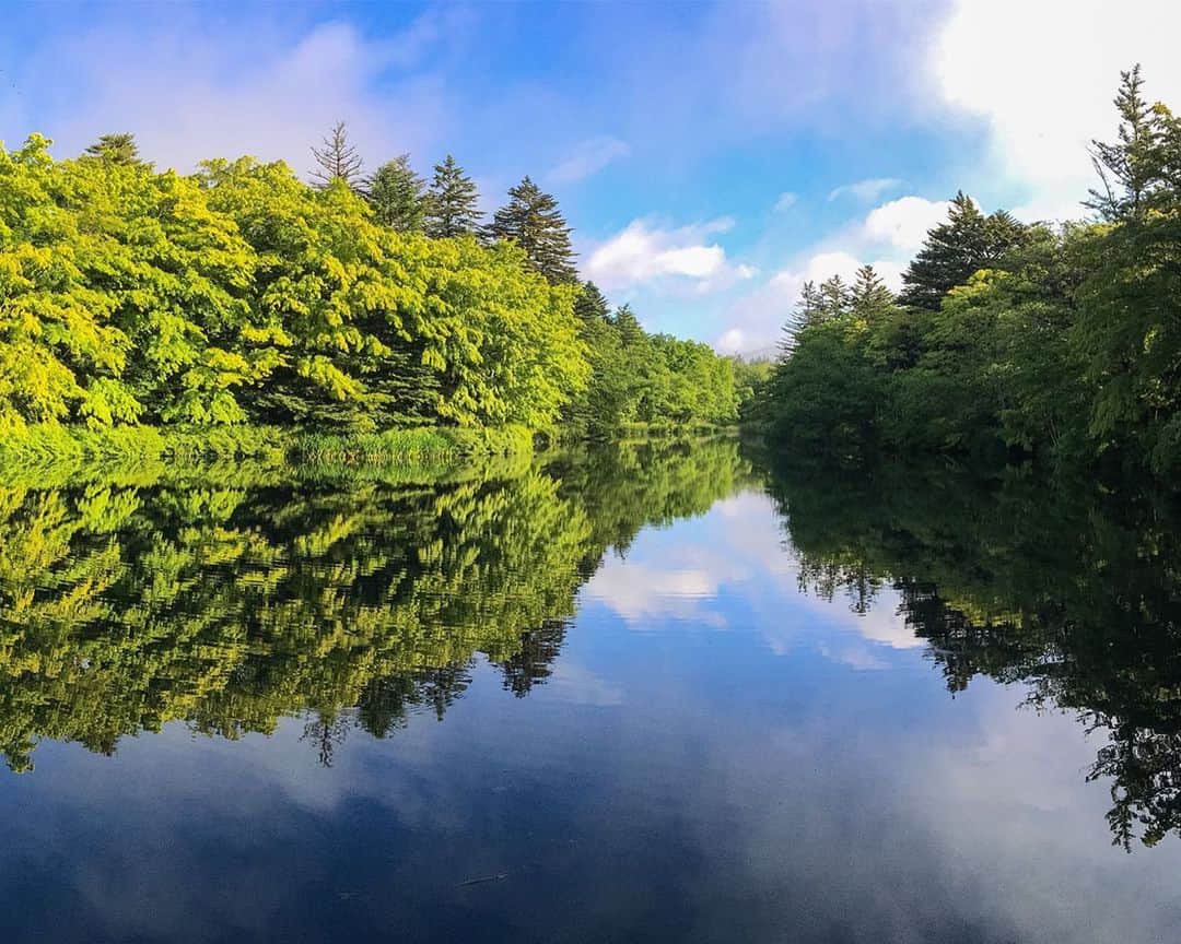 botanist officialのグルメインスタ