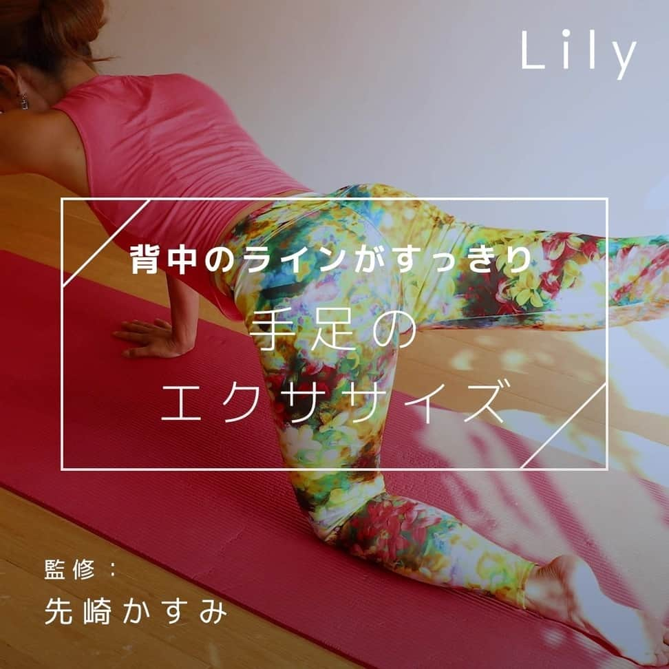 Lilyのインスタグラム