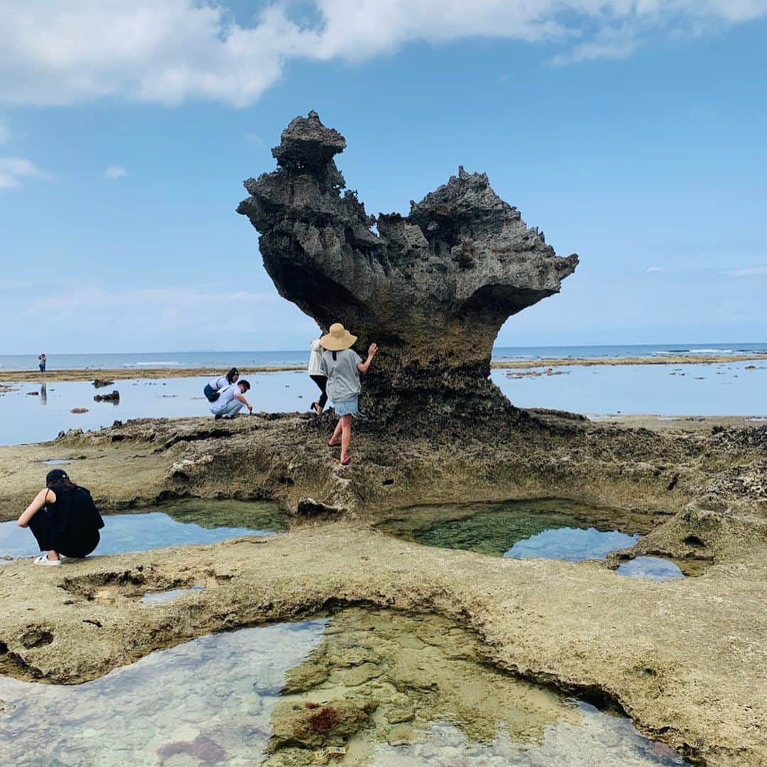 坂田陽子さんのインスタグラム写真 - (坂田陽子Instagram)「ファスティング二日目。 ・ 意外と空腹には耐えられるけど、 元来食いしん坊だから食べ物の事ばかり考えちゃう😂 具の無いお味噌汁ならぬ「素」味噌汁を酵素ドリンクと共に飲みながら、先日の沖縄グルメを回想😂 ・ #ファスティング #エッセンシア #断食 #デトックス #酵素ドリンク #ファスティング2日目 #ファスティング3日間チャレンジ ・ 今のところは頭痛やだるさ、肌荒れなど好転反応の見られるような症状も無く、至って順調！？ ゆるゆると断捨離続行中😆😆 ・ ・ #沖縄グルメ #てんtoてん #木灰すば #古代米おにぎり #油味噌絶品 #古宇利島 #llota #ブイヤベース #キャプテンカンガルー #キャプカン #抱かれたいハンバーガーno1  #名護 #紀ノ川 #ジーマーミー豆腐」5月15日 12時25分 - yokosakata