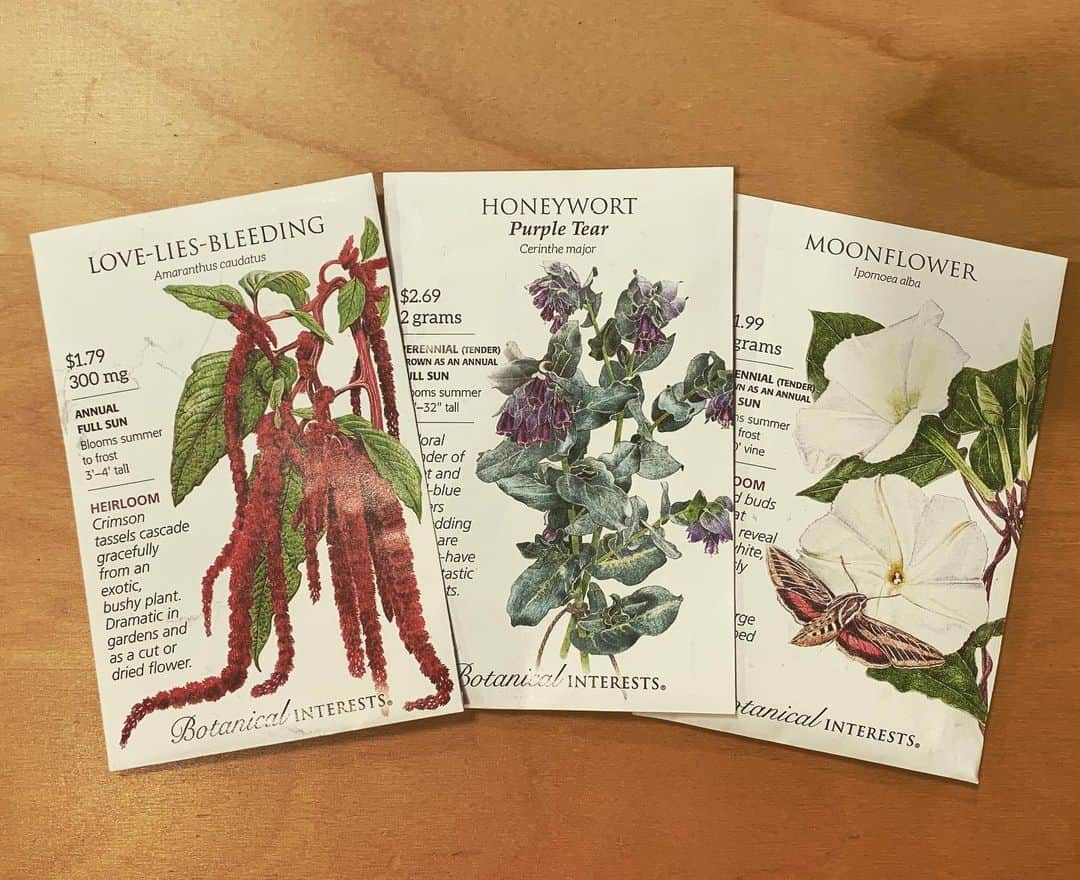 OLIVIAのインスタグラム：「A little late sowing these seeds.... 😬 Oh well, we’ll see how it goes!! 💚🌿💚🍀💚🌱 #moonflower #honeywort #loveliesbleedingamaranth」